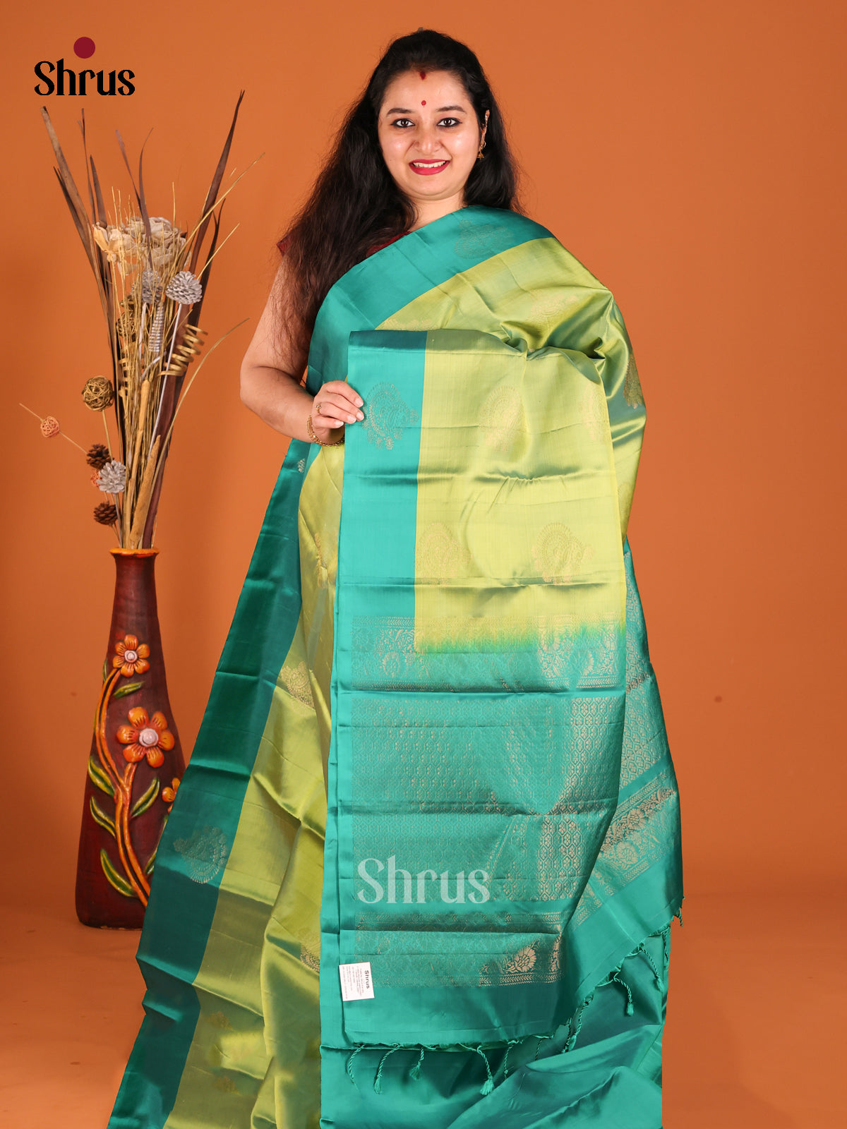 Light Green & Green Softsilk-halfpure Saree with zari floral motifs - Shop on Shrus.com