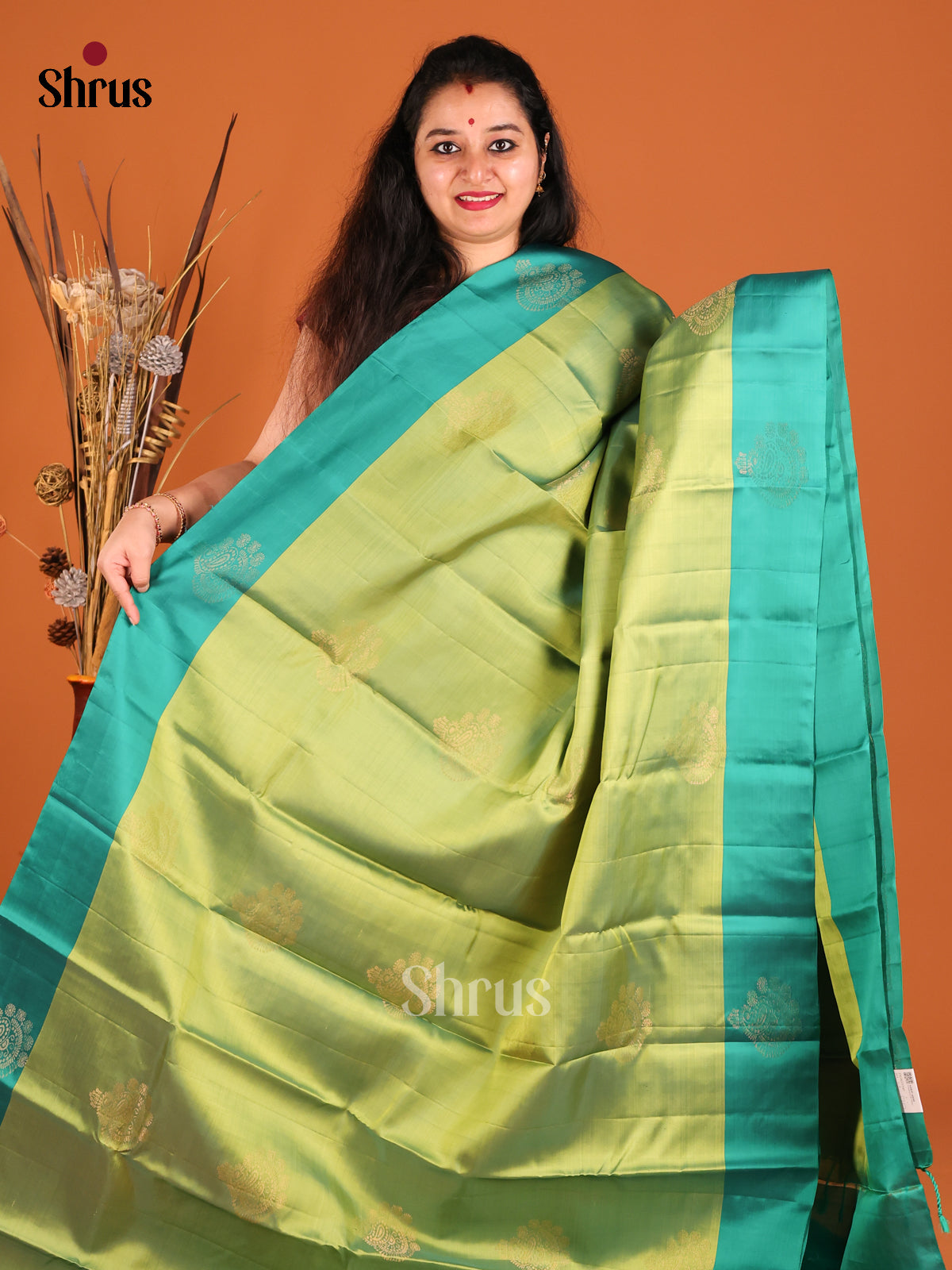 Light Green & Green Softsilk-halfpure Saree with zari floral motifs - Shop on Shrus.com