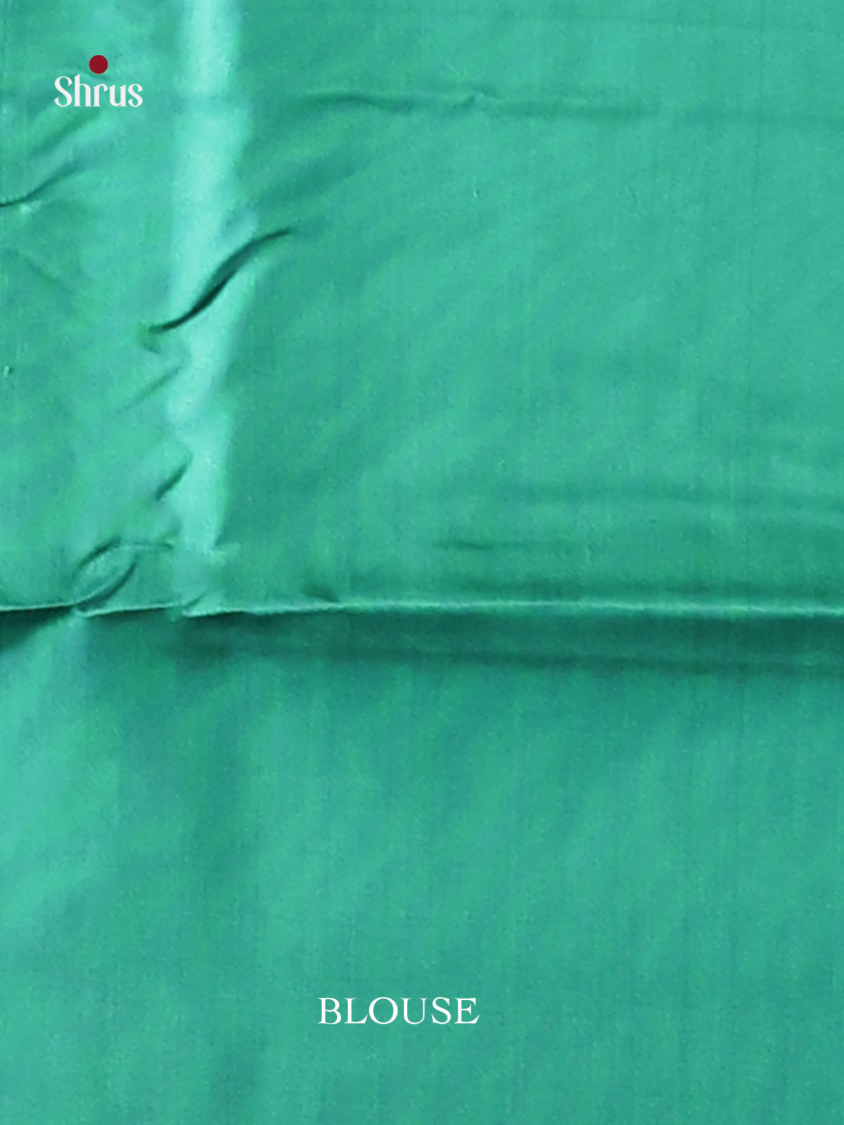 Light Green & Green Softsilk-halfpure Saree with zari floral motifs - Shop on Shrus.com