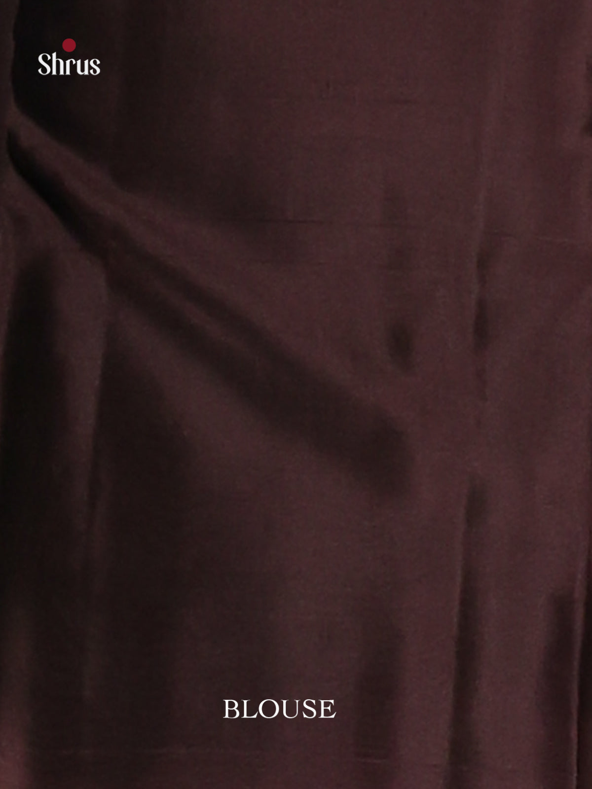 Green & Brown Softsilk-halfpure Saree with zari floral block motifs - Shop on Shrus.com