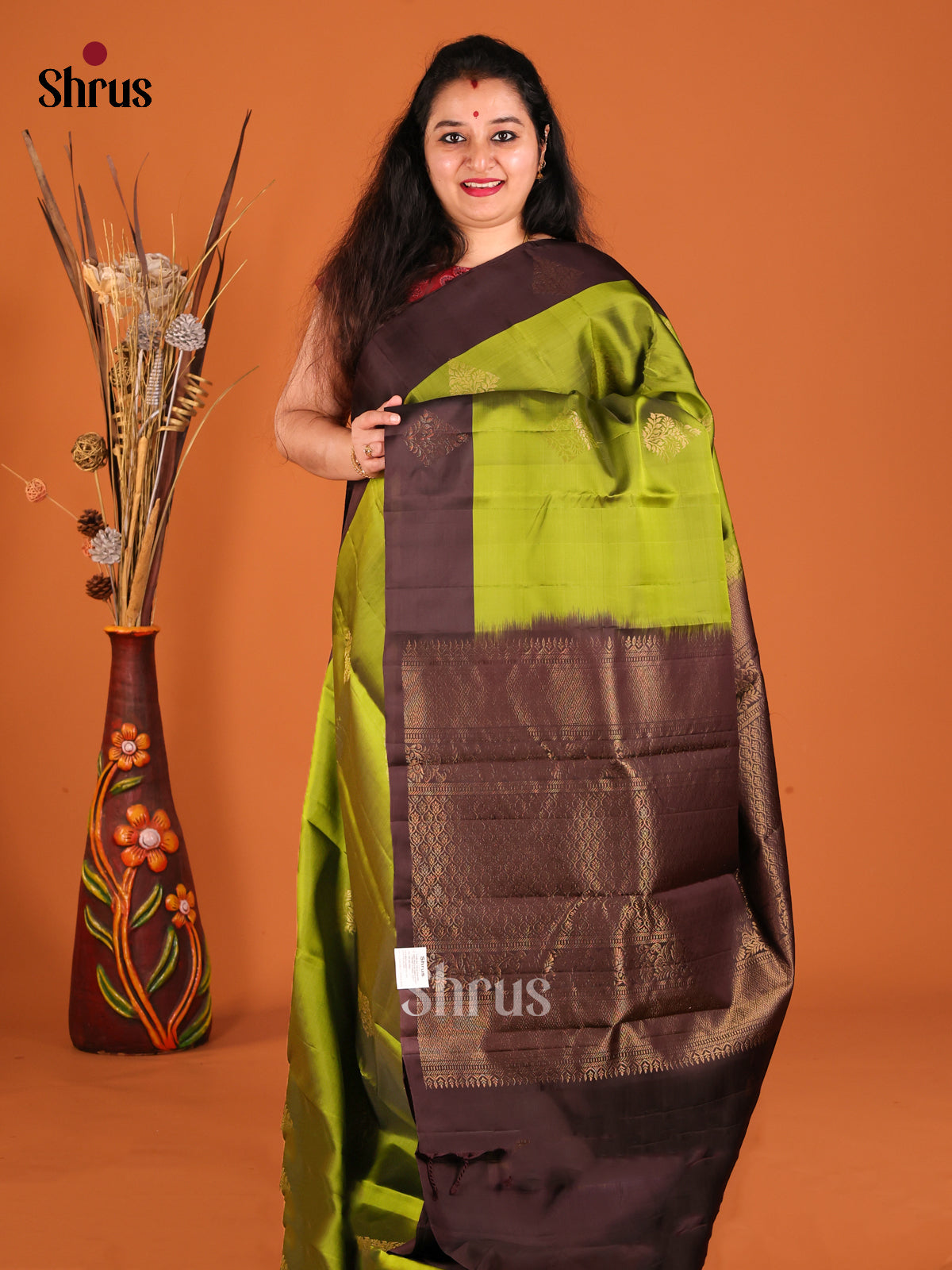 Green & Brown Softsilk-halfpure Saree with zari floral motifs