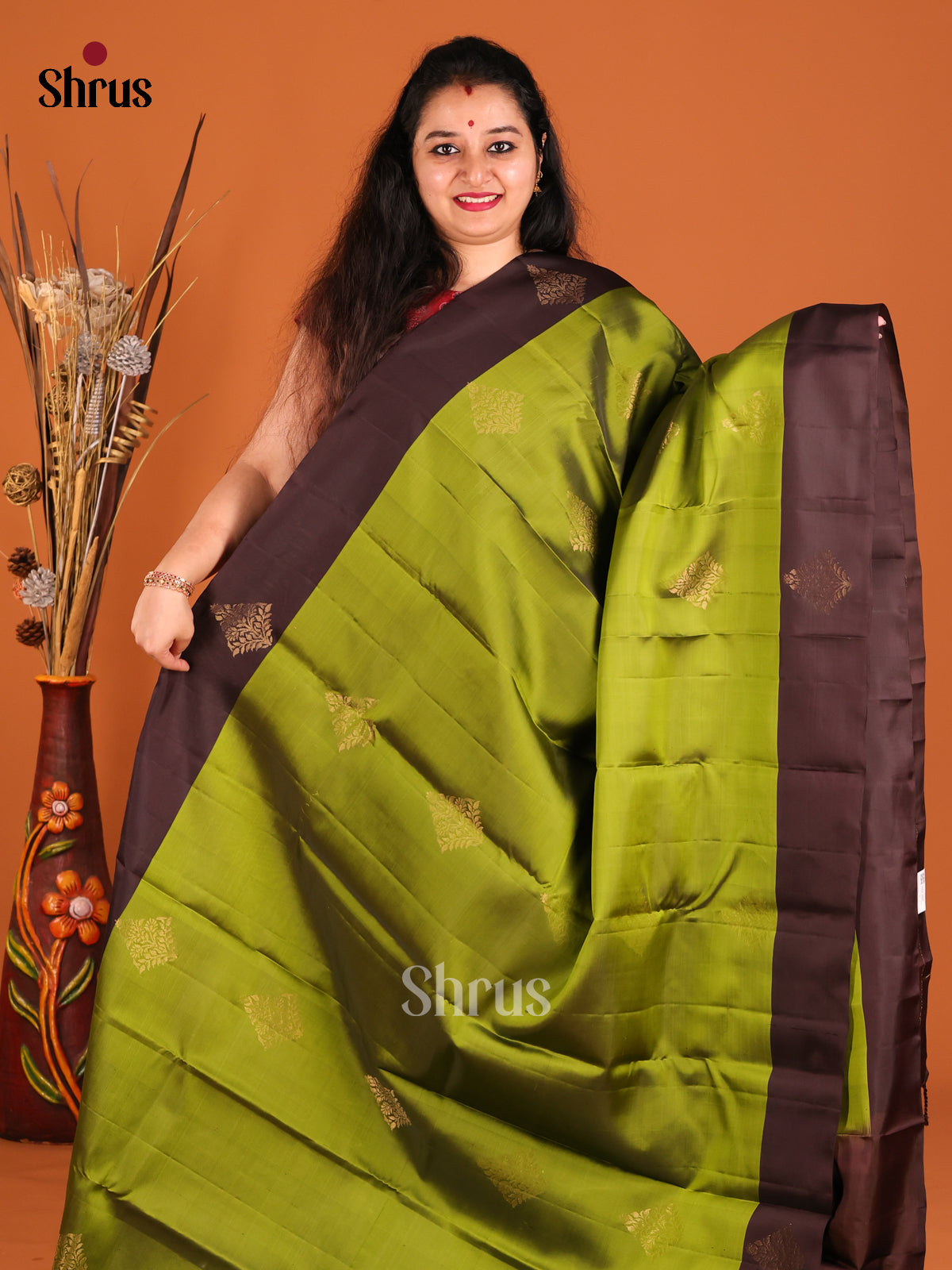 Green & Brown Softsilk-halfpure Saree with zari floral motifs