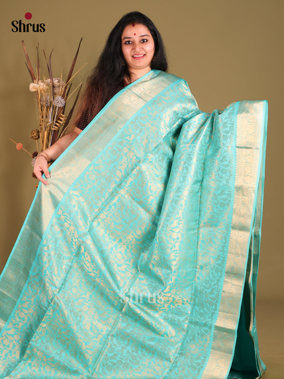 DGS25088 - Soft Silk (HR) Saree-2