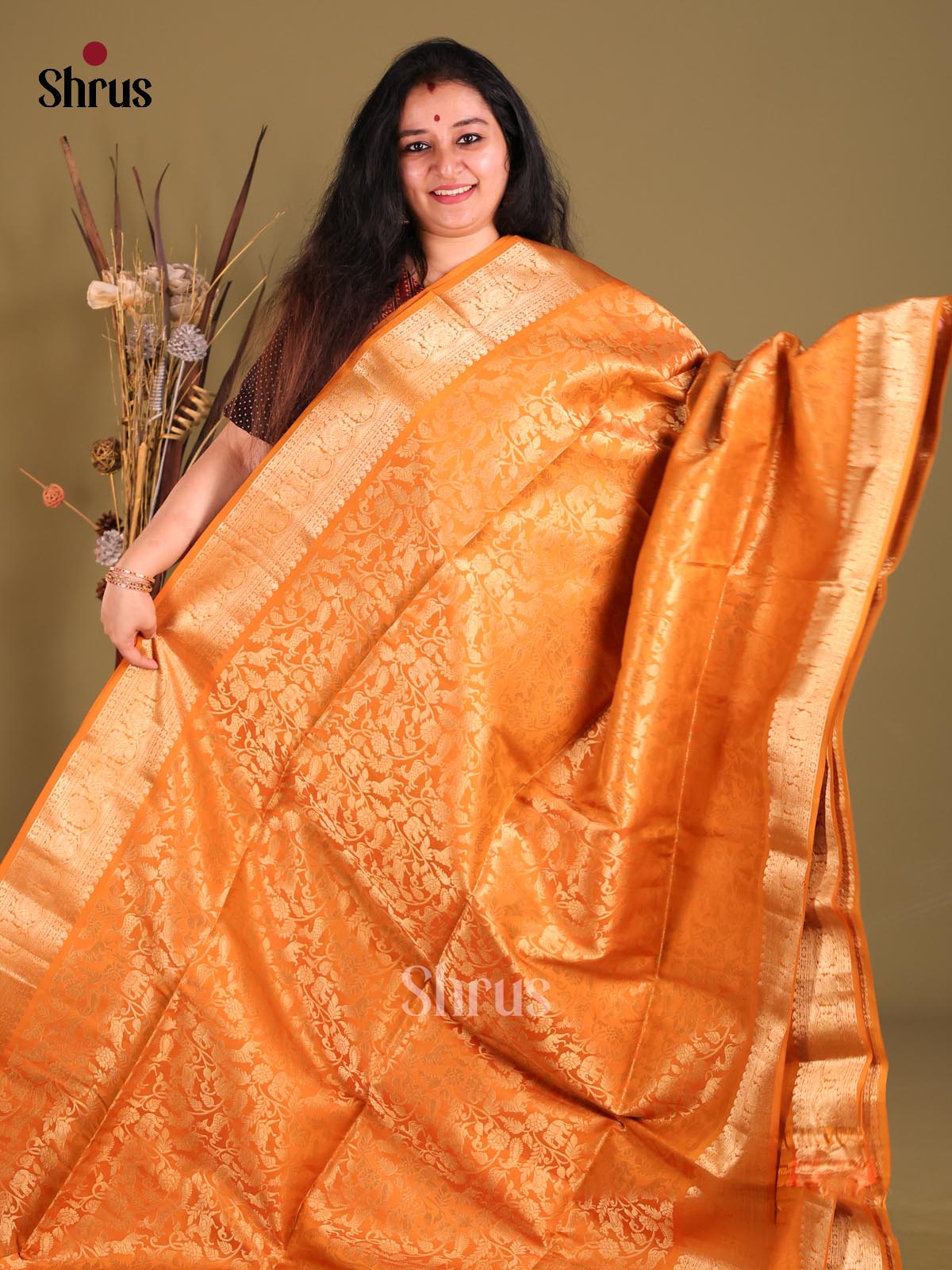 DGS25089 - Soft Silk (HR) Saree-2