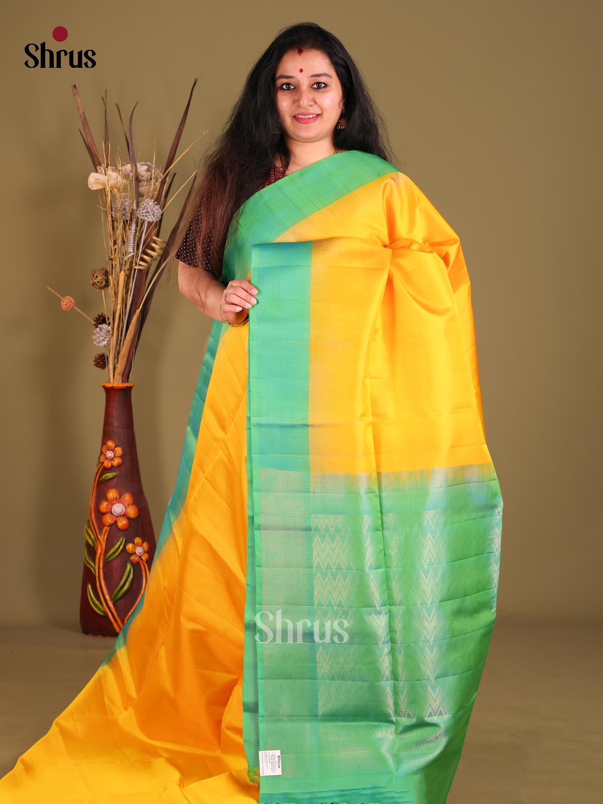 DGS25098 - Soft Silk (HR) Saree-1