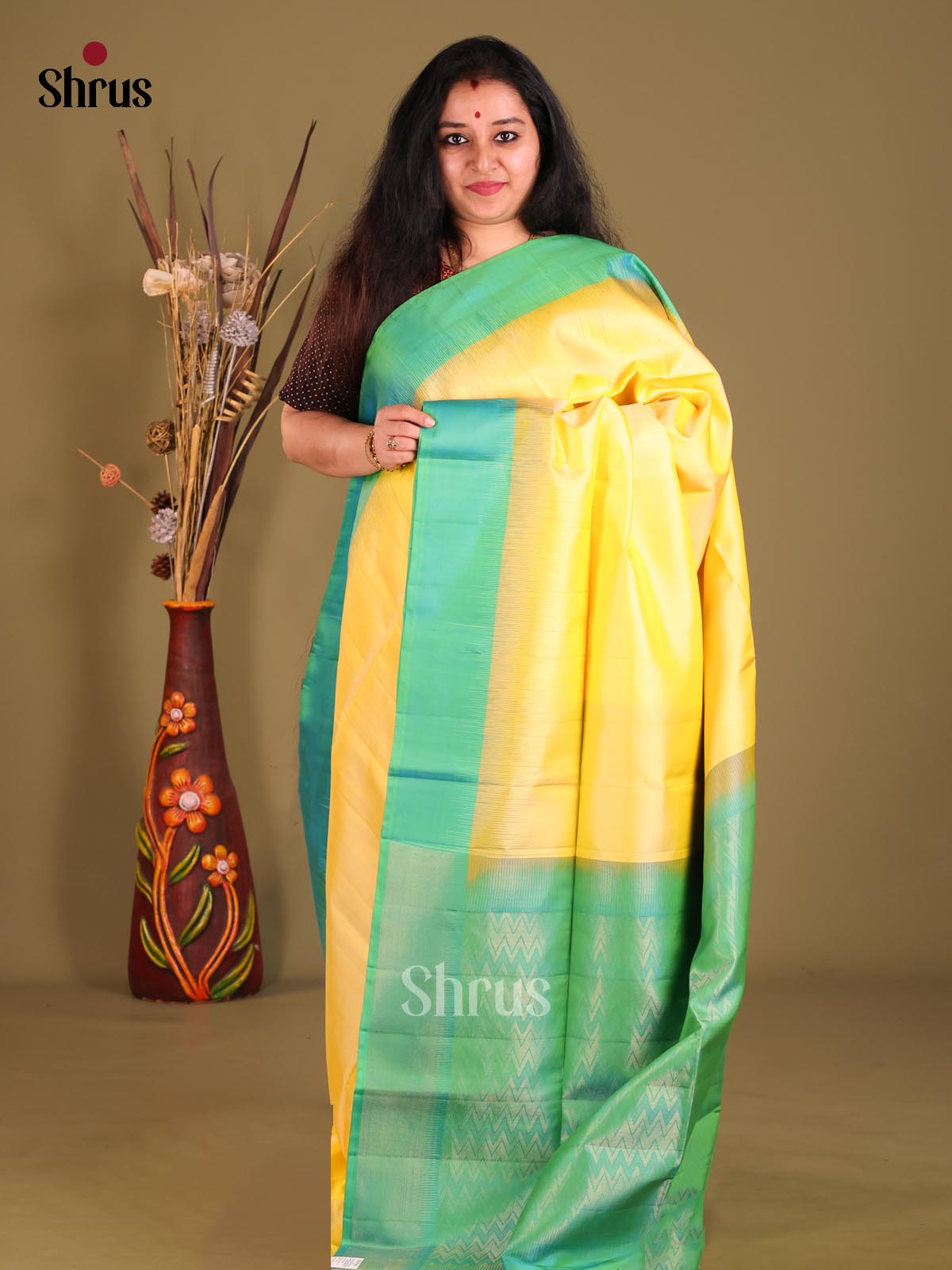 DGS25099 - Soft Silk (HR) Saree-1