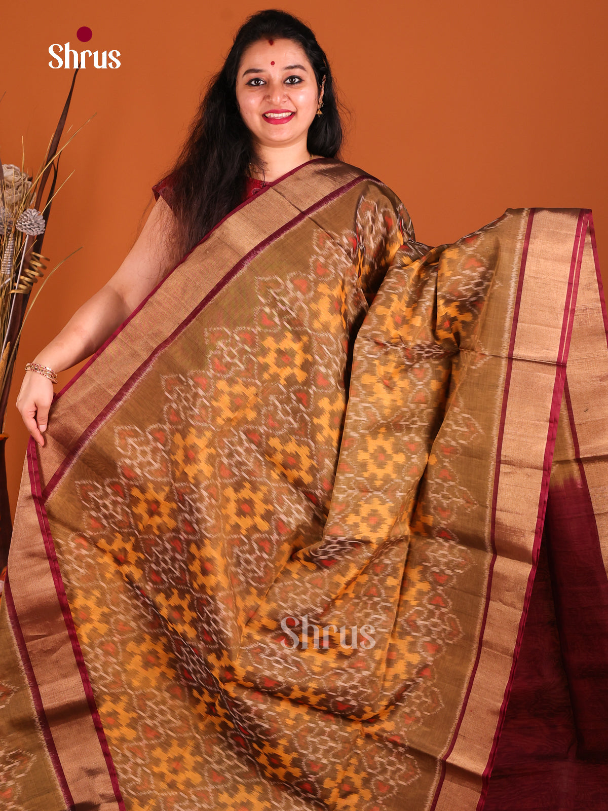 Chikoo & Maroon- Pochampally sico Saree
