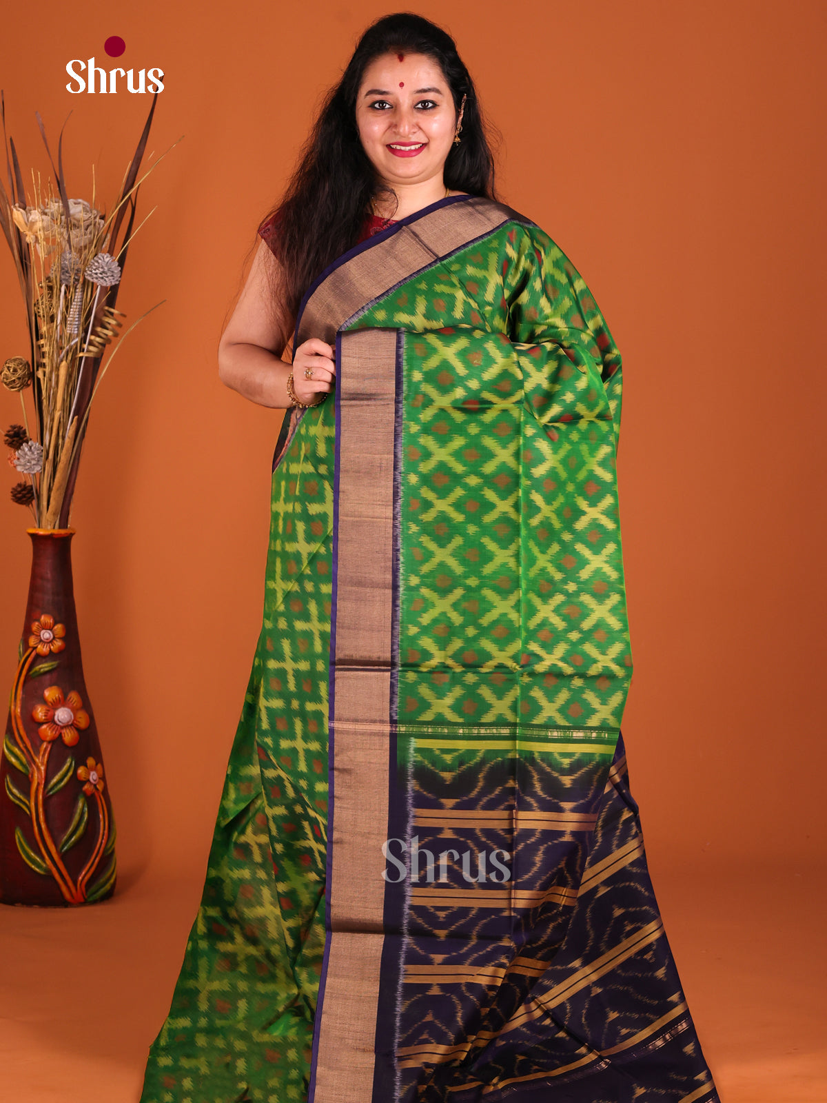 Green & Blue- Pochampally sico Saree - Shop on Shrus.com