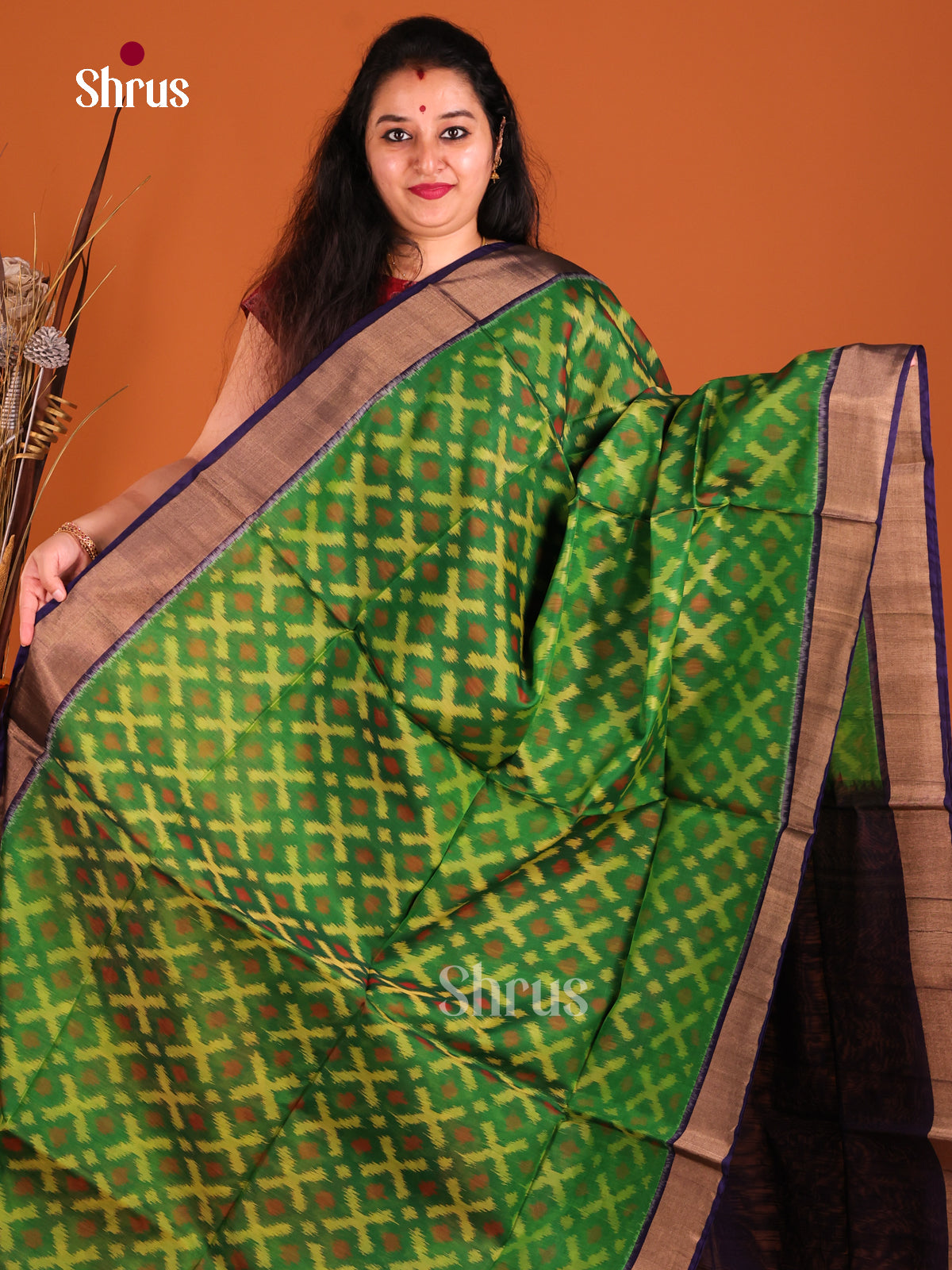 Green & Blue- Pochampally sico Saree - Shop on Shrus.com