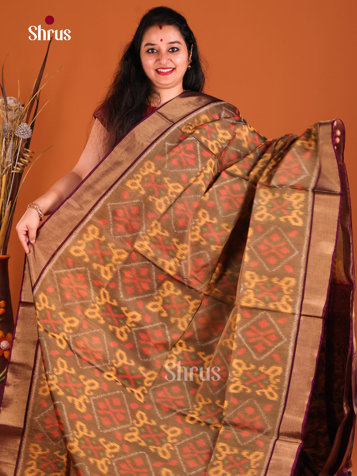 Chikoo & Maroon- Pochampally ikkat silk cotton Saree -1