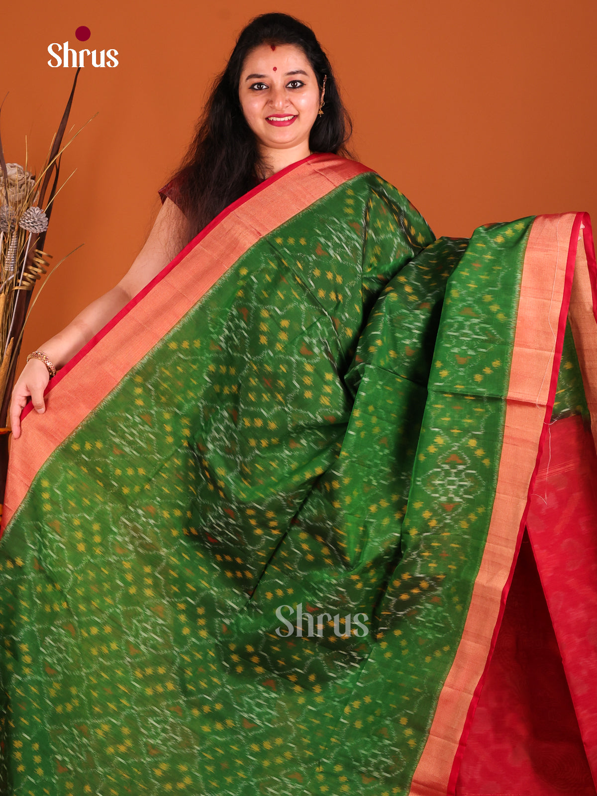 Green & Red - Pochampally sico Saree - Shop on Shrus.com