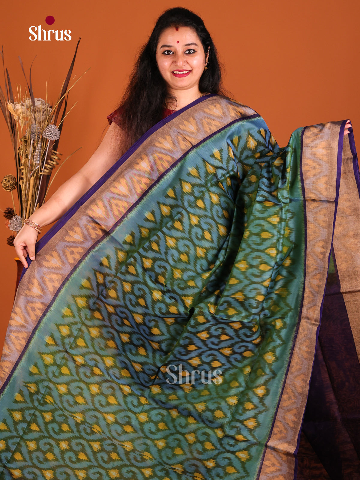 Green & Violet - Pochampally sico Saree - Shop on Shrus.com