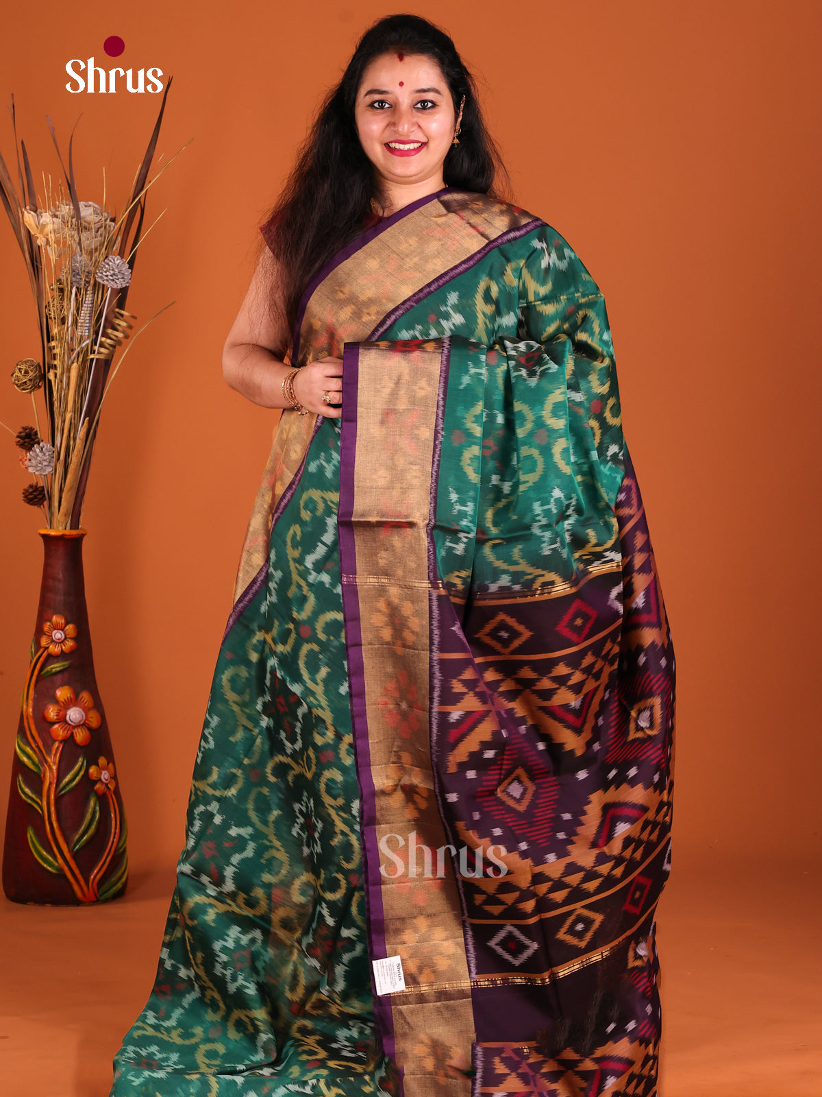 DGS25258 - Pochampally sico Saree - Shop on Shrus.com