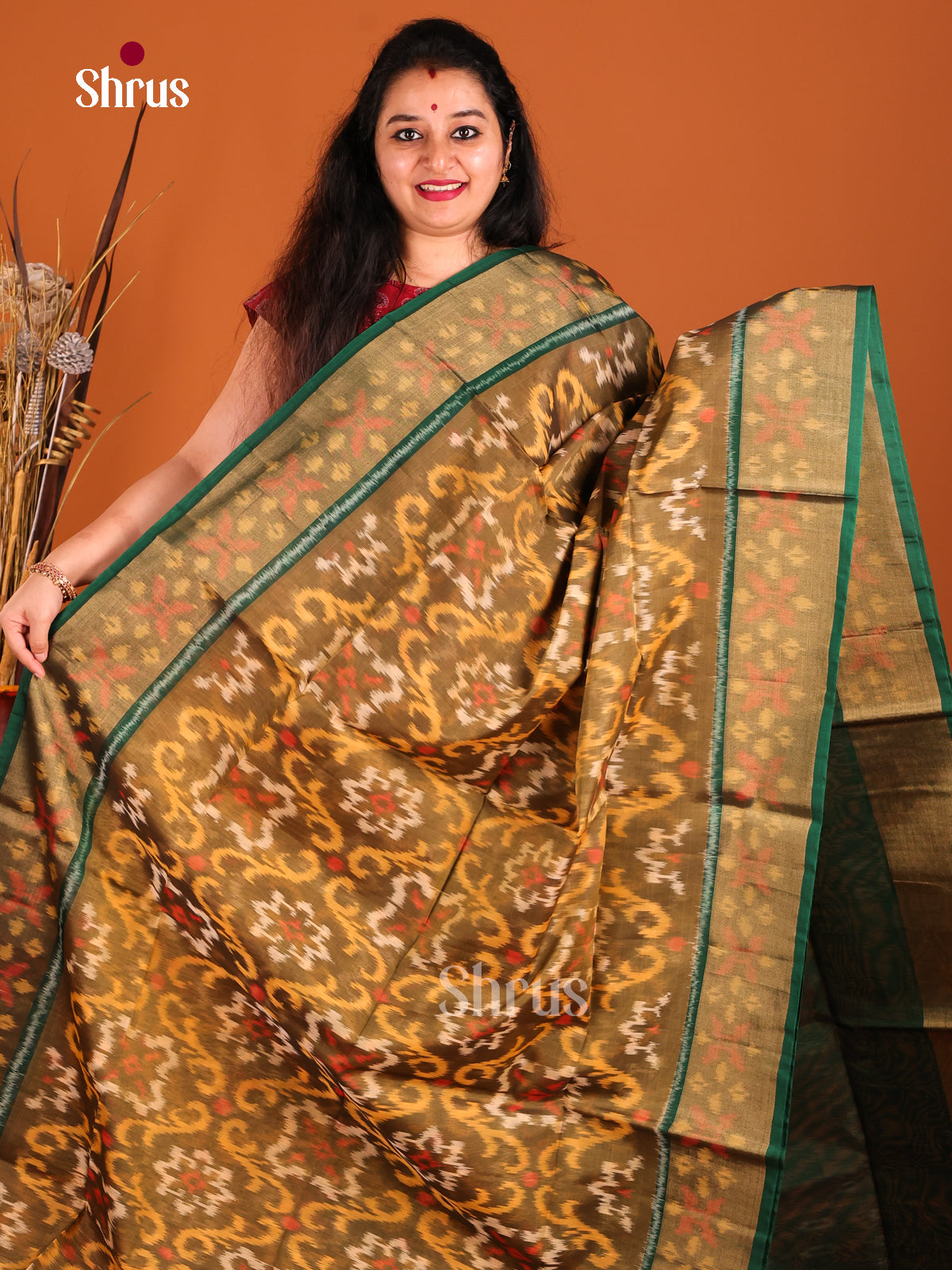 DGS25263 - Pochampally sico Saree - Shop on Shrus.com