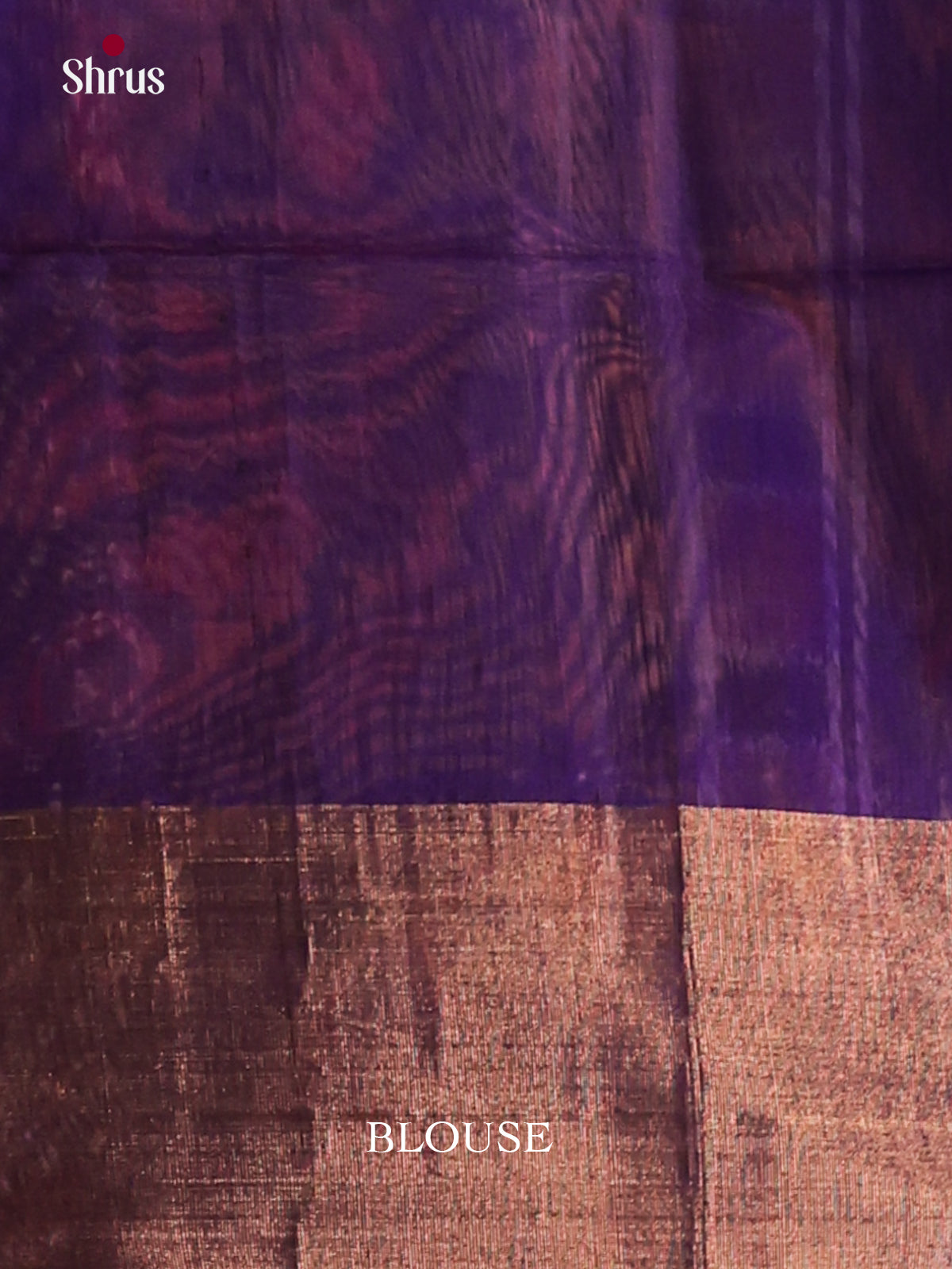 Chutney Green & Blue- Pochampally ikkay silk cotton Saree -2