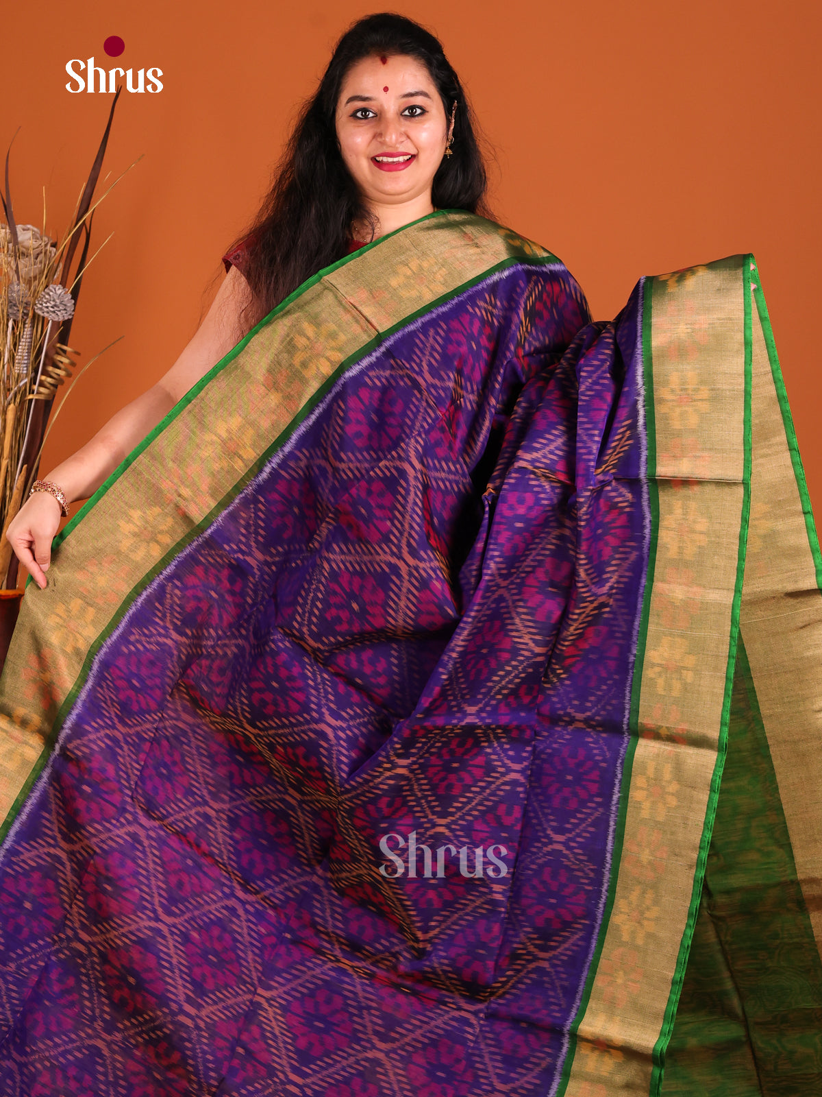 Violet & Green - Pochampally sico Saree - Shop on Shrus.com