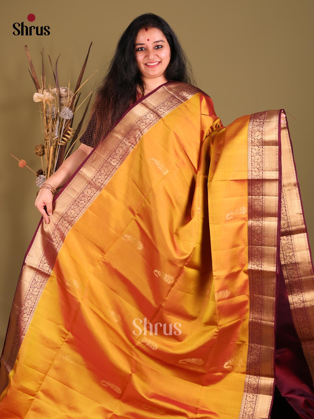 DGS25280 - Soft Silk (HR) Saree-2