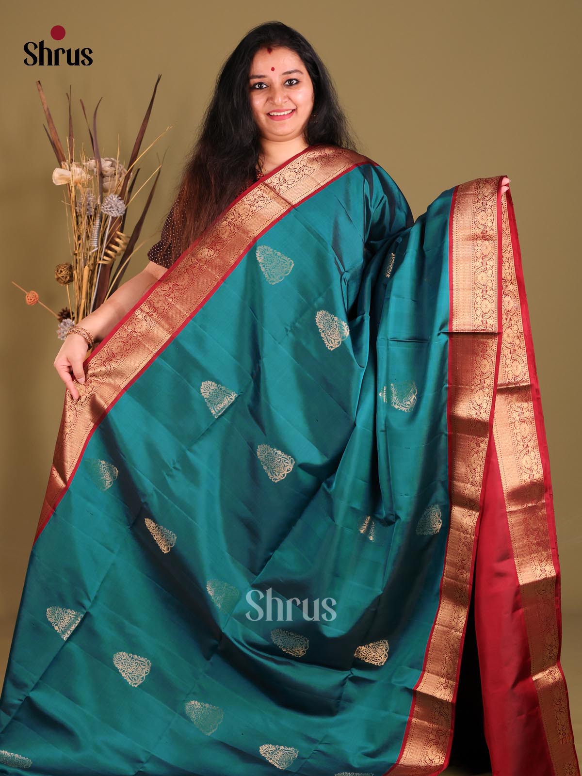 DGS25287 - Soft Silk (HR) Saree-2