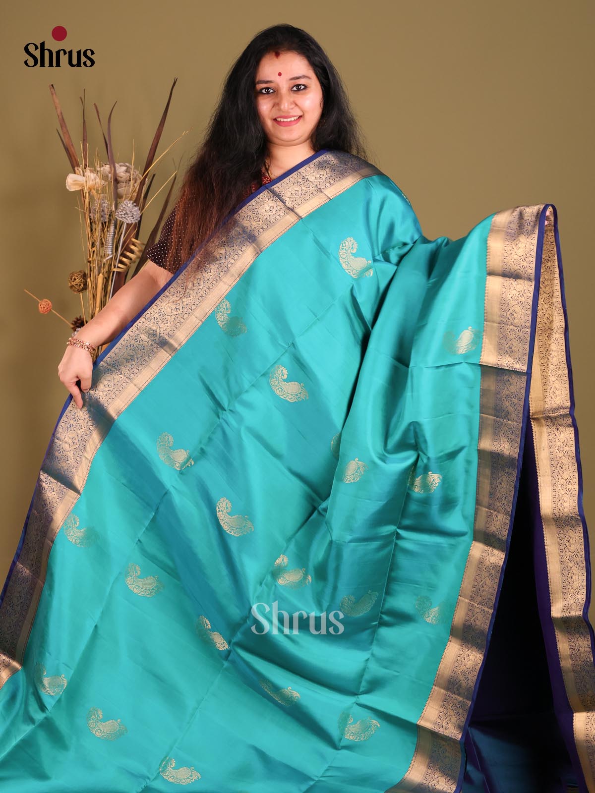 DGS25292 - Soft Silk (HR) Saree-2