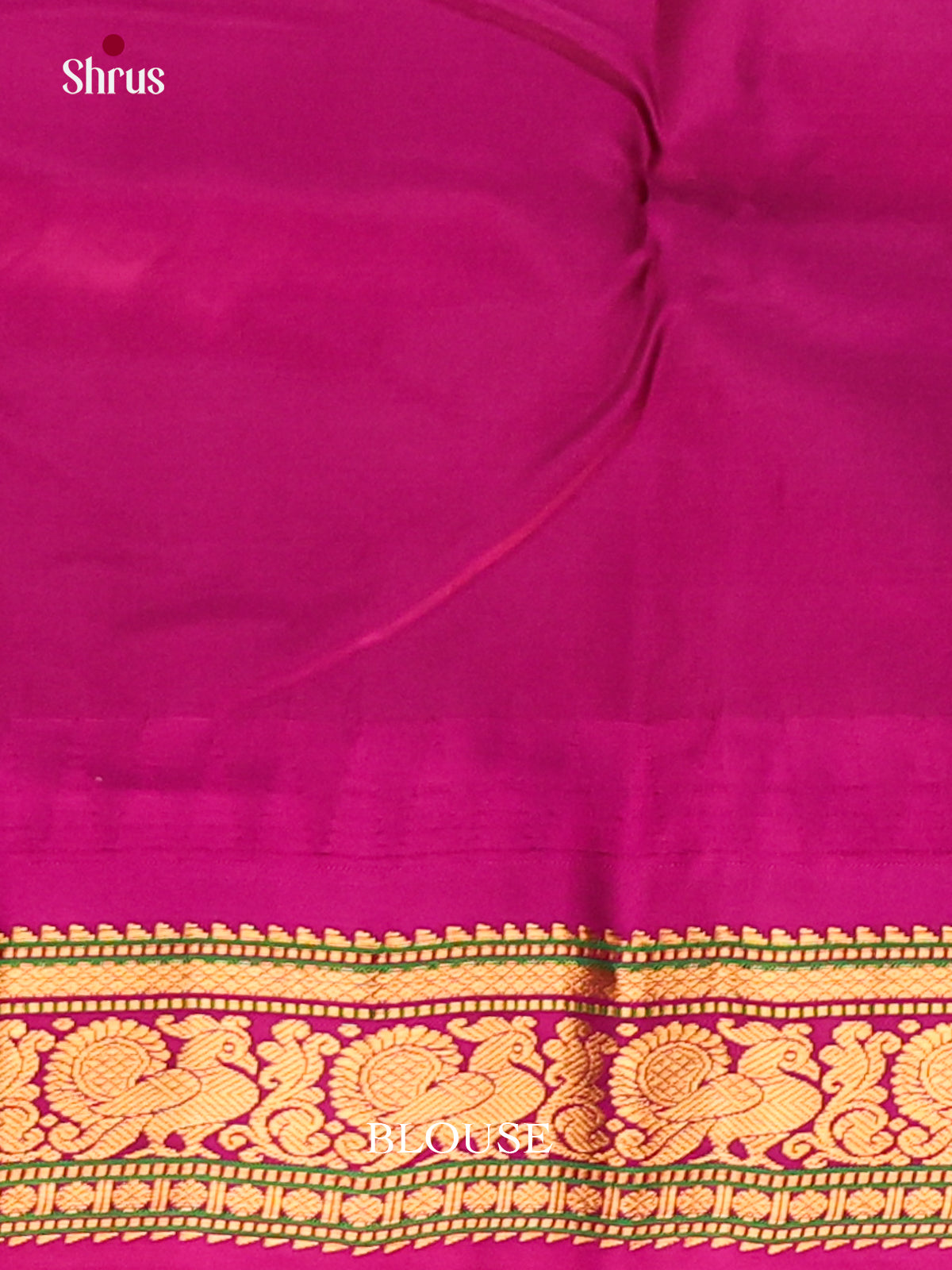 Regal Light Green Gadwal silk Saree with Peacock buttas in Purple Border-2