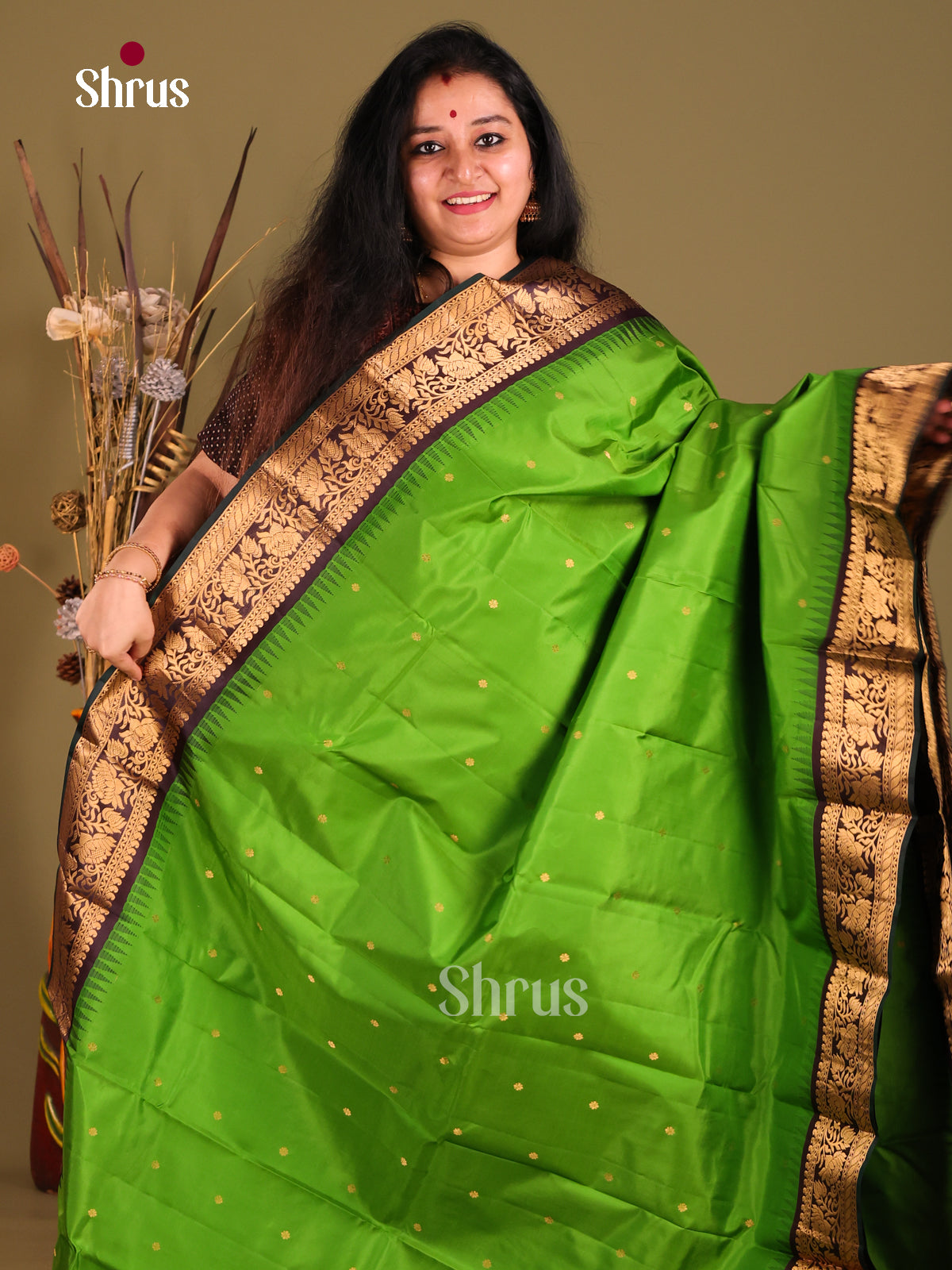 Serene Light Green Gadwal silk Saree with zari buttas & rich Brown Border-1