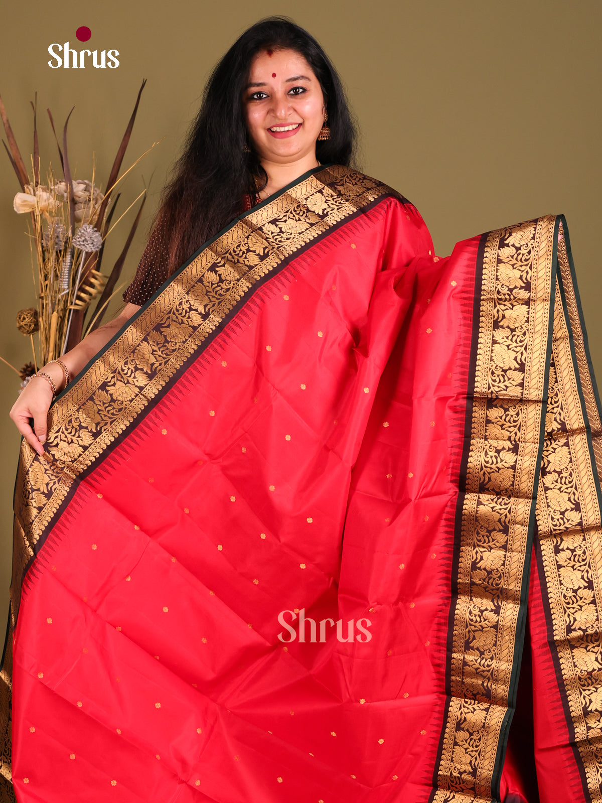 Red gadwal silk saree with brown zari border-1