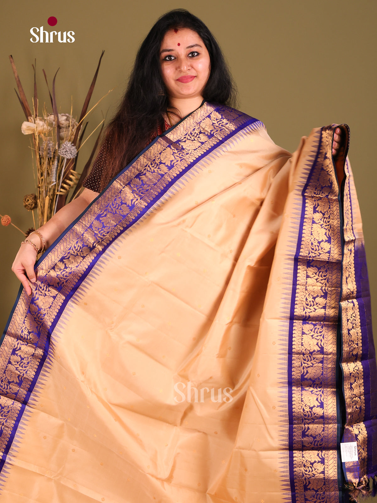 Elegant Beige Gadwal silk Saree with ZAri Buttas & Blue zari brocade pallu-1