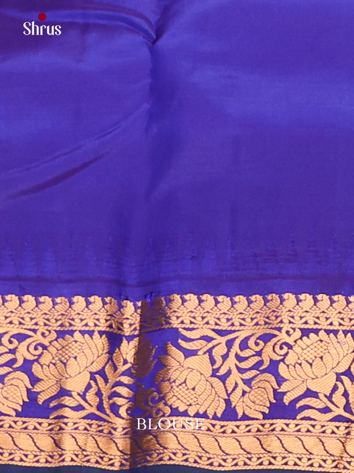 Elegant Beige Gadwal silk Saree with ZAri Buttas & Blue zari brocade pallu-2