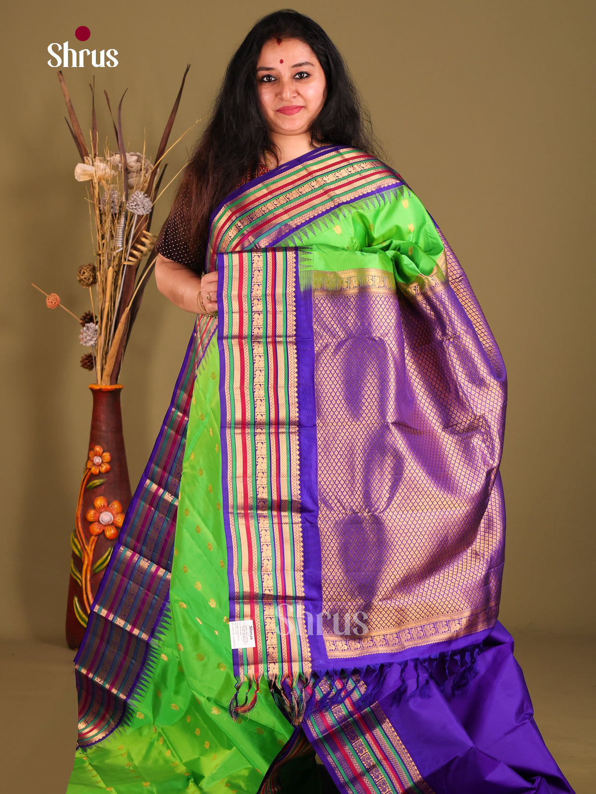 Elegant Light Green Gadwal silk Saree with Blue zari Woven border & Brocade Pallu
