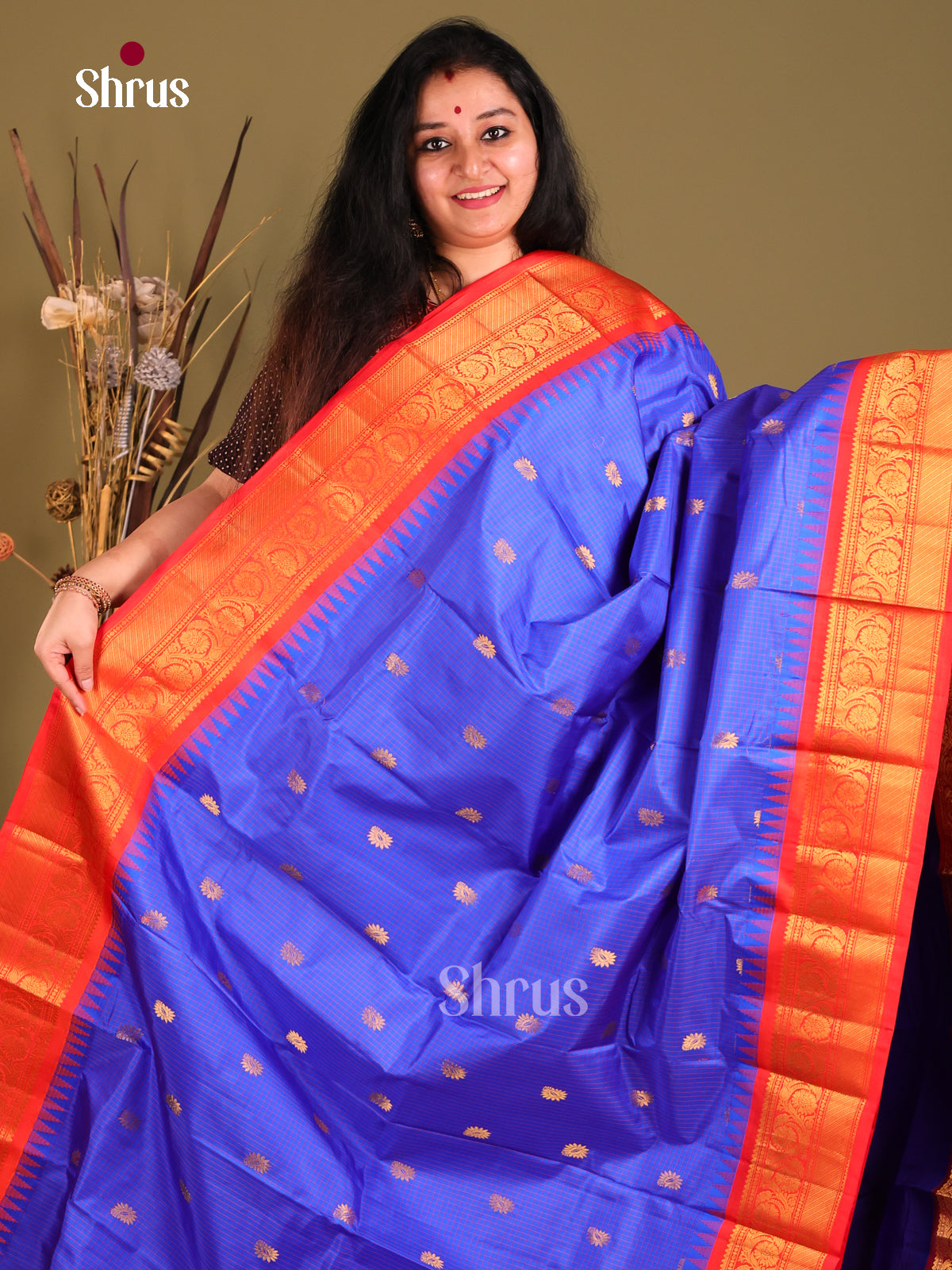Graceful Blue Checked Gadwal silk Saree with gold zari buttas & Red Brocade Pallu-1
