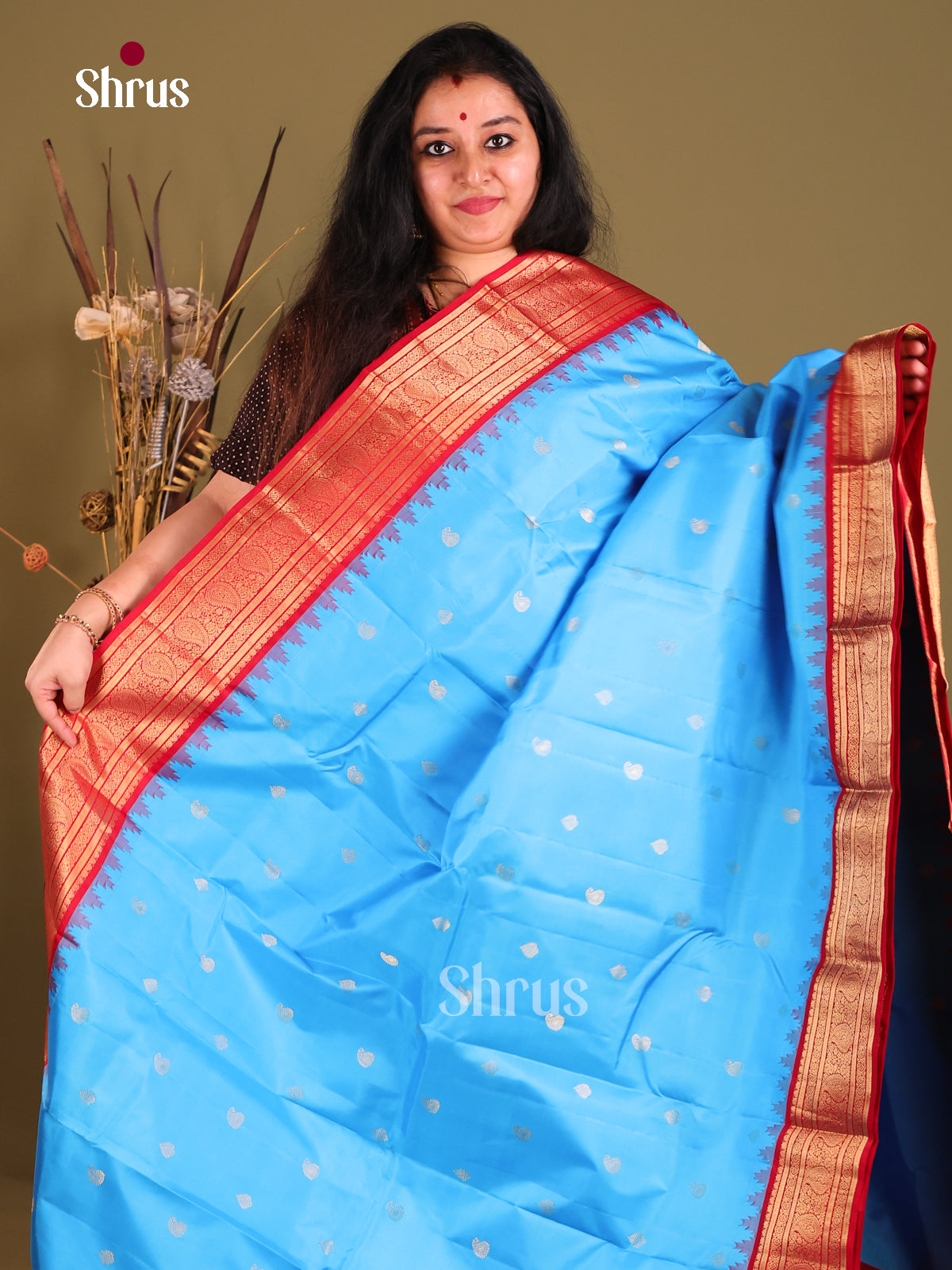 Exquisite Blue Gadwal silk Saree with Zari Buttas & Red pasileys brocade border-1