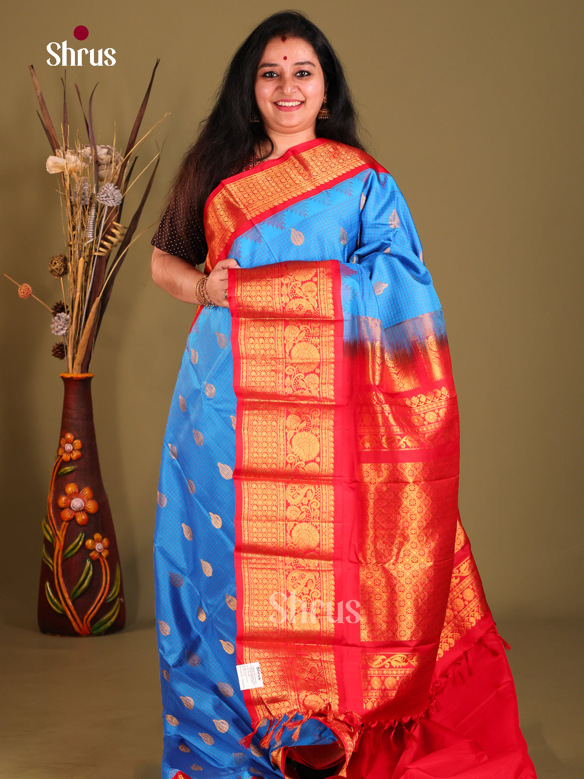 Blue Gadwal silk Saree with Subtle checks, Gold Buttas & Red zari Woven floral vines border