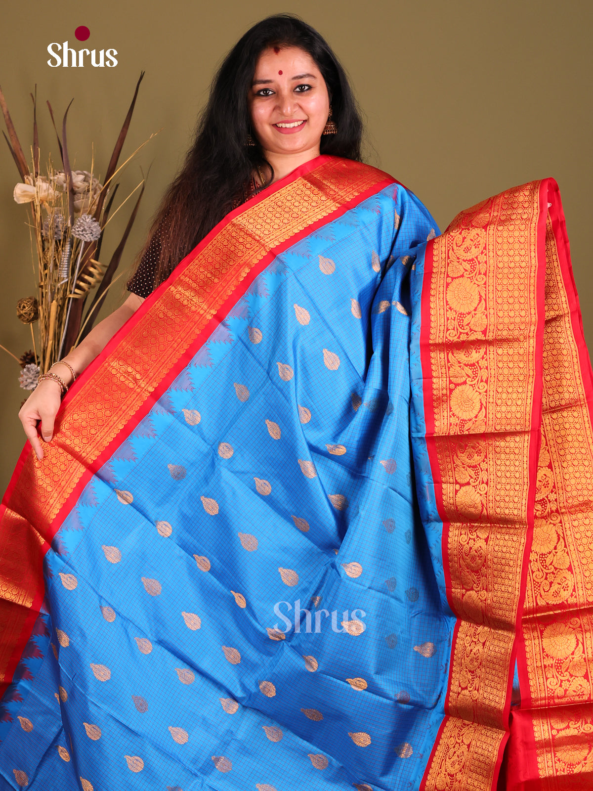 Blue Gadwal silk Saree with Subtle checks, Gold Buttas & Red zari Woven floral vines border-1