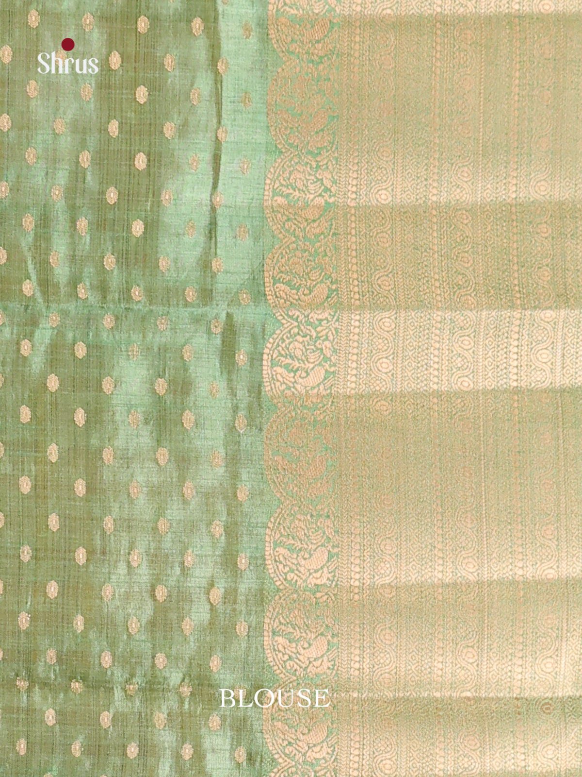 Pista Green- Semi Rawsilk Saree - Shop on Shrus.com