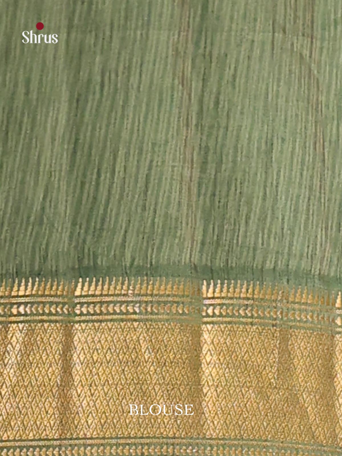 Green - Semi Patola Saree