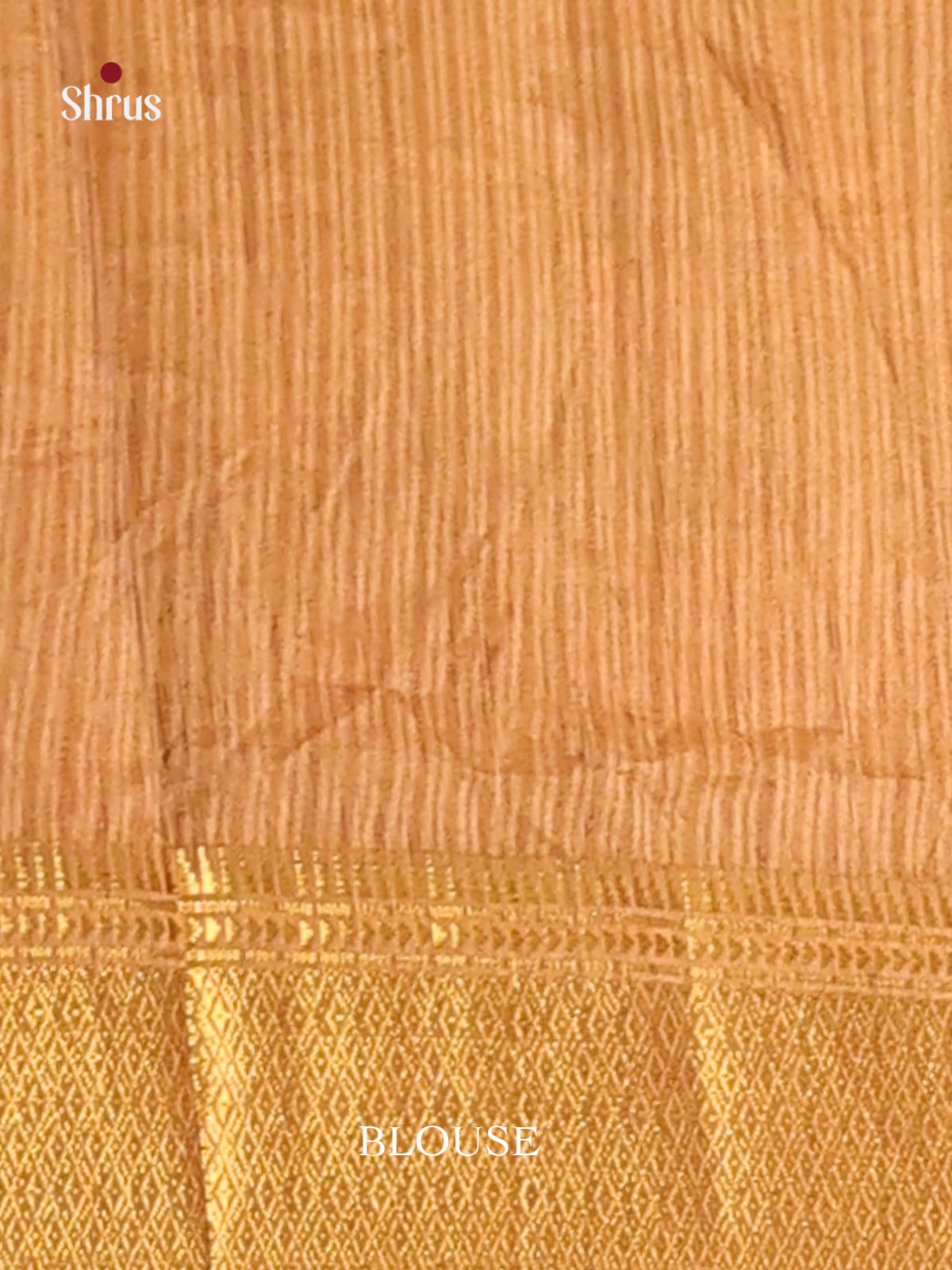 Brown & Beige - Semi Patola Saree