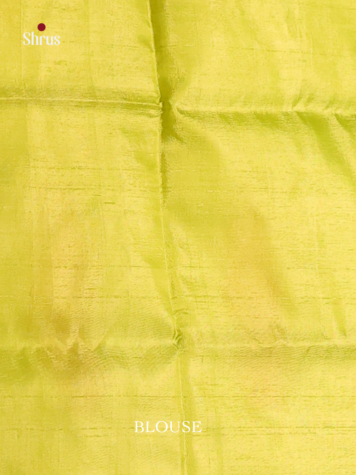 Grey & Light Green - Banana Pith Saree - Shop on Shrus.com