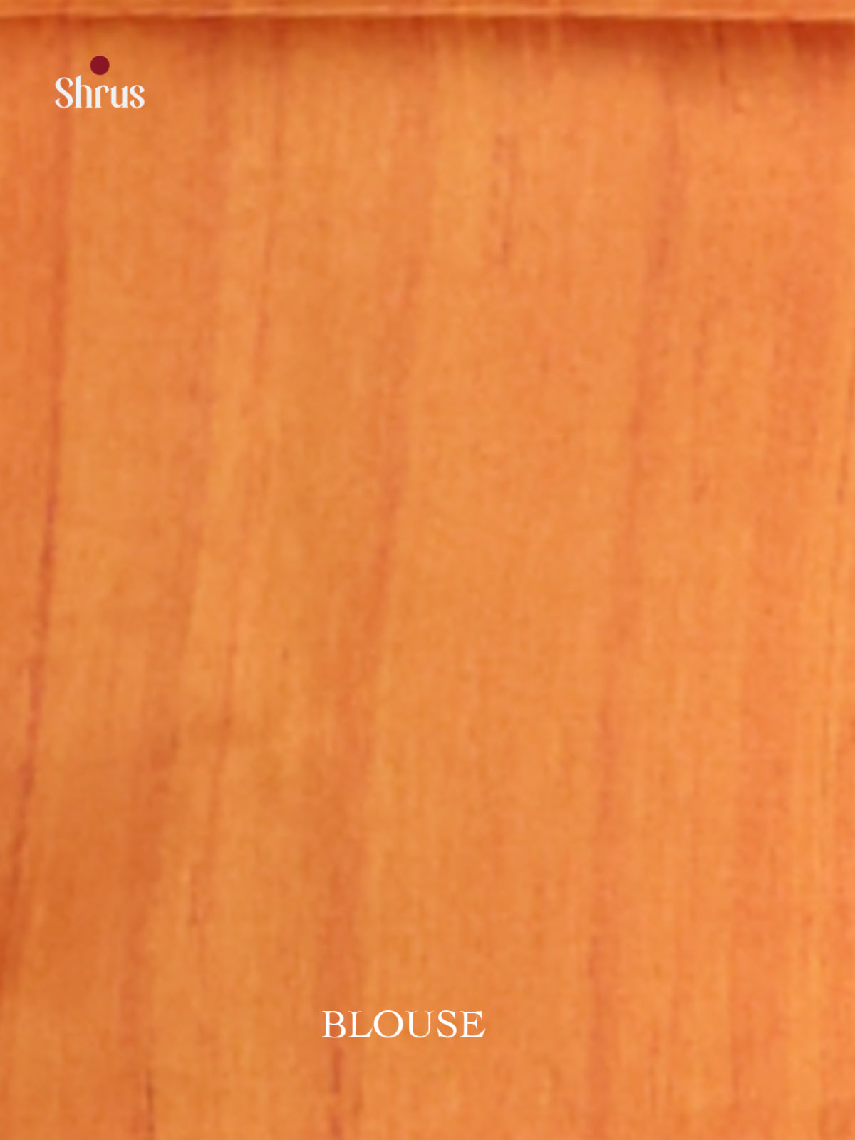 Blue & Brick - Printed Madhubani Saree