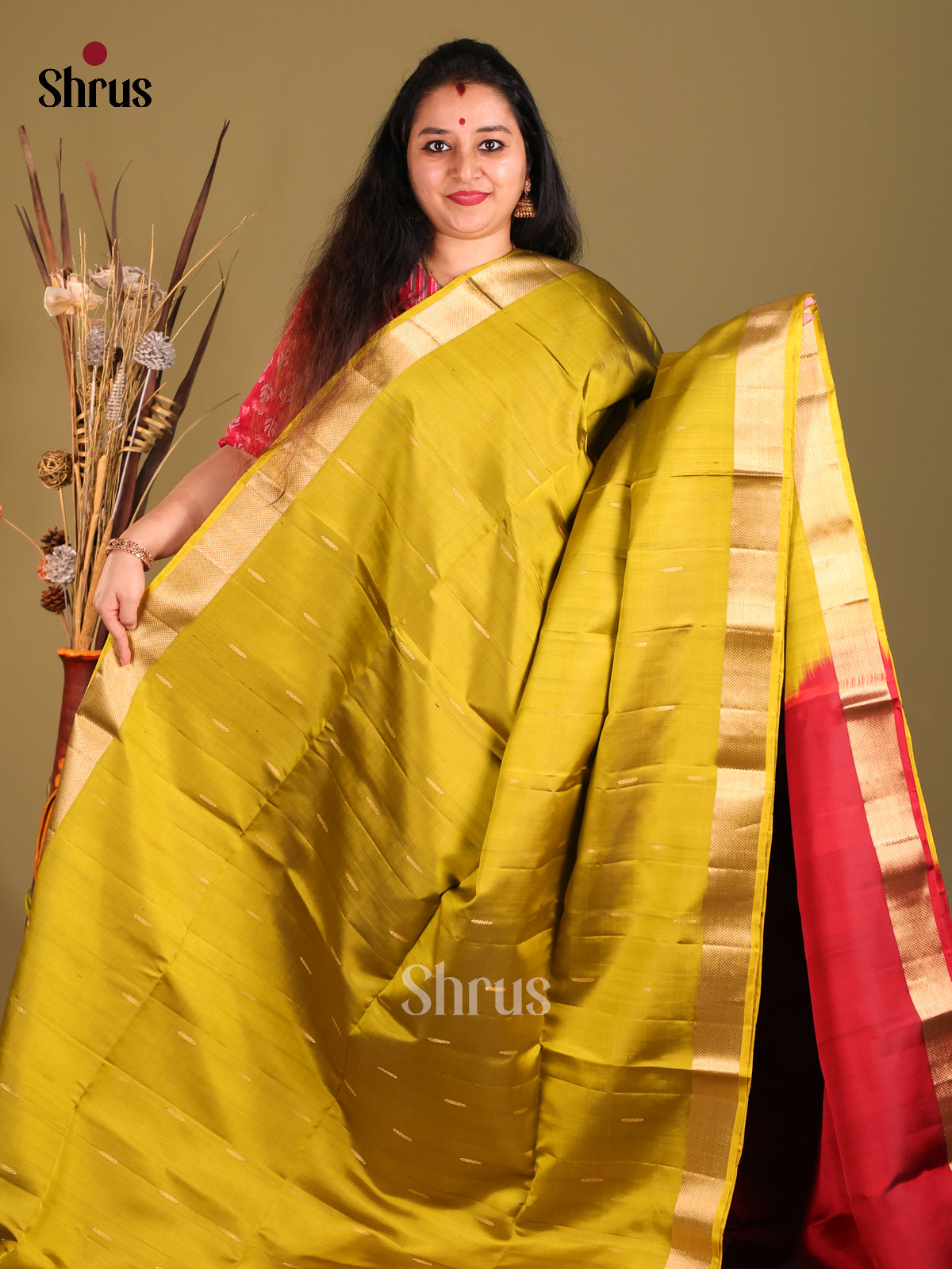 Mustardy Green Soft Silk Saree with zari buttas , brocade pallu-2