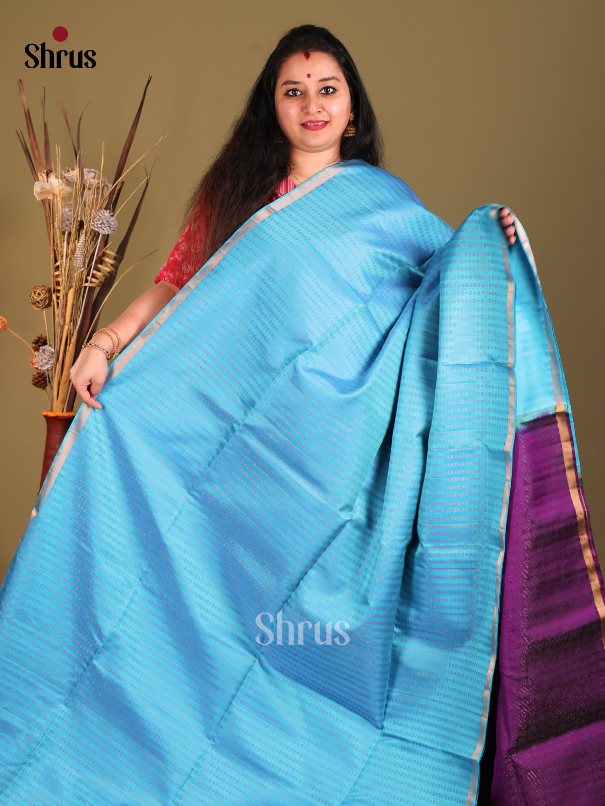 Light Blue & Violet Soft Silk Saree with zari stripes & brocade pallu-2