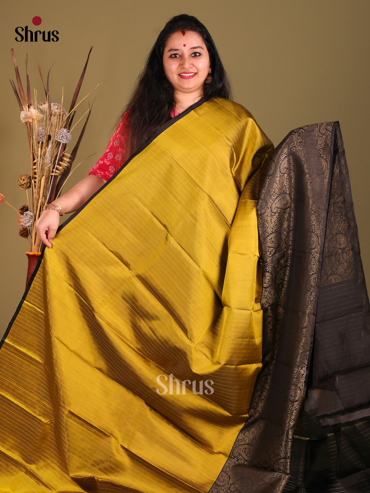 Mustardy Green Soft Silk Saree with contrast pasileys brocade pallu-2