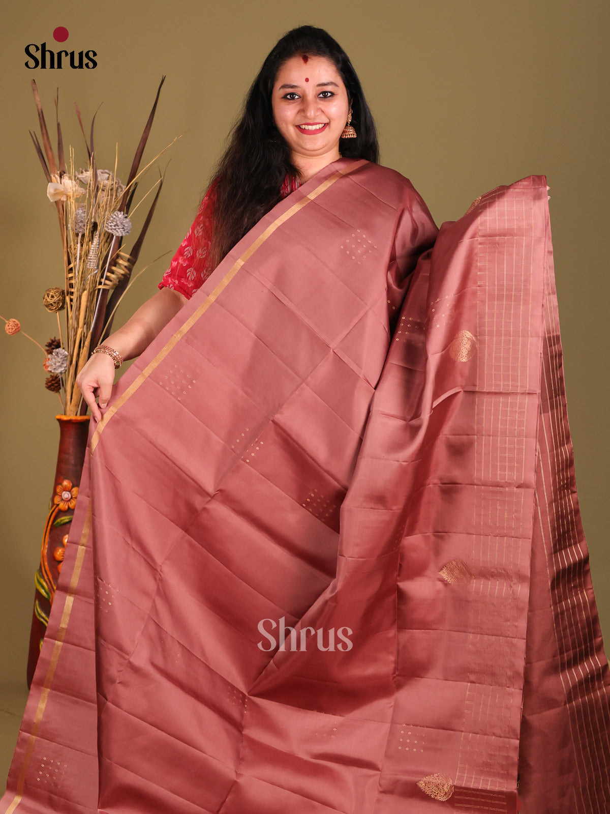 Brown & Dark Brown Soft Silk Saree with zari brocade pallu-2