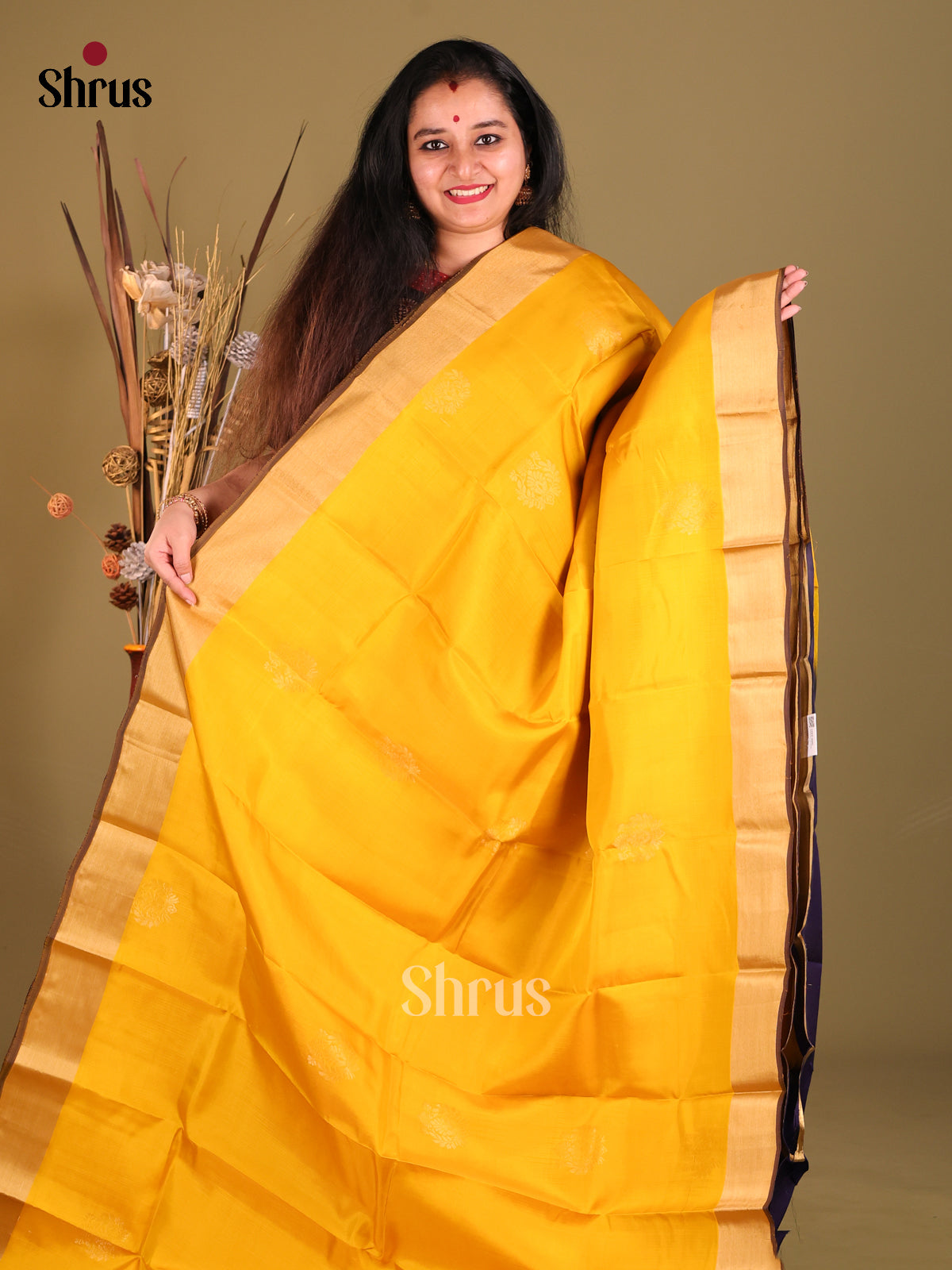 DGS30548 - Softsilk-halfpure Saree - Shop on Shrus.com