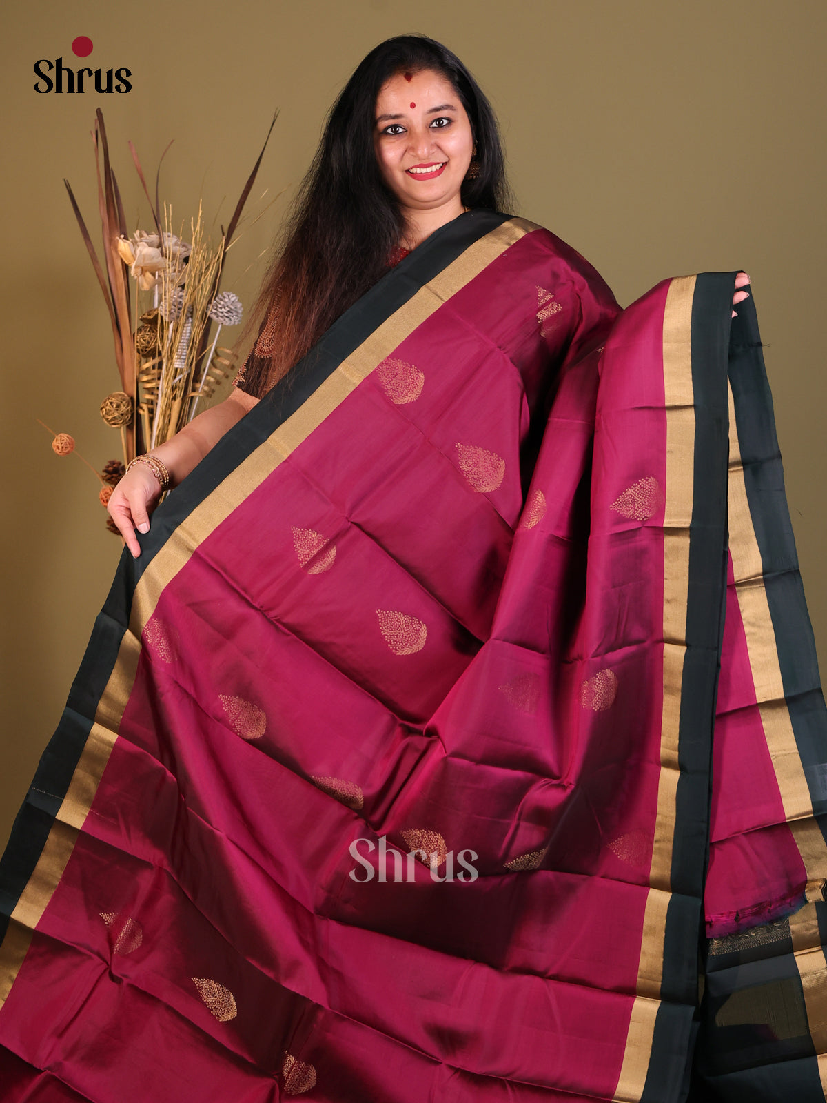 DGS30566 - Softsilk-halfpure Saree - Shop on Shrus.com