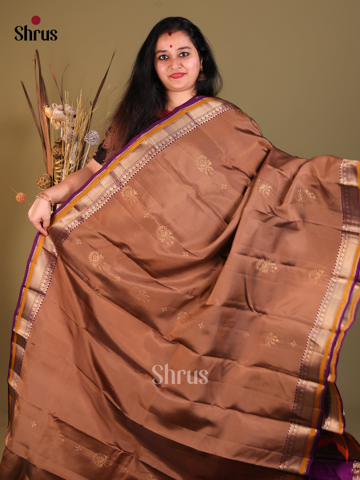 Brown & Violet - Softsilk-halfpure Saree