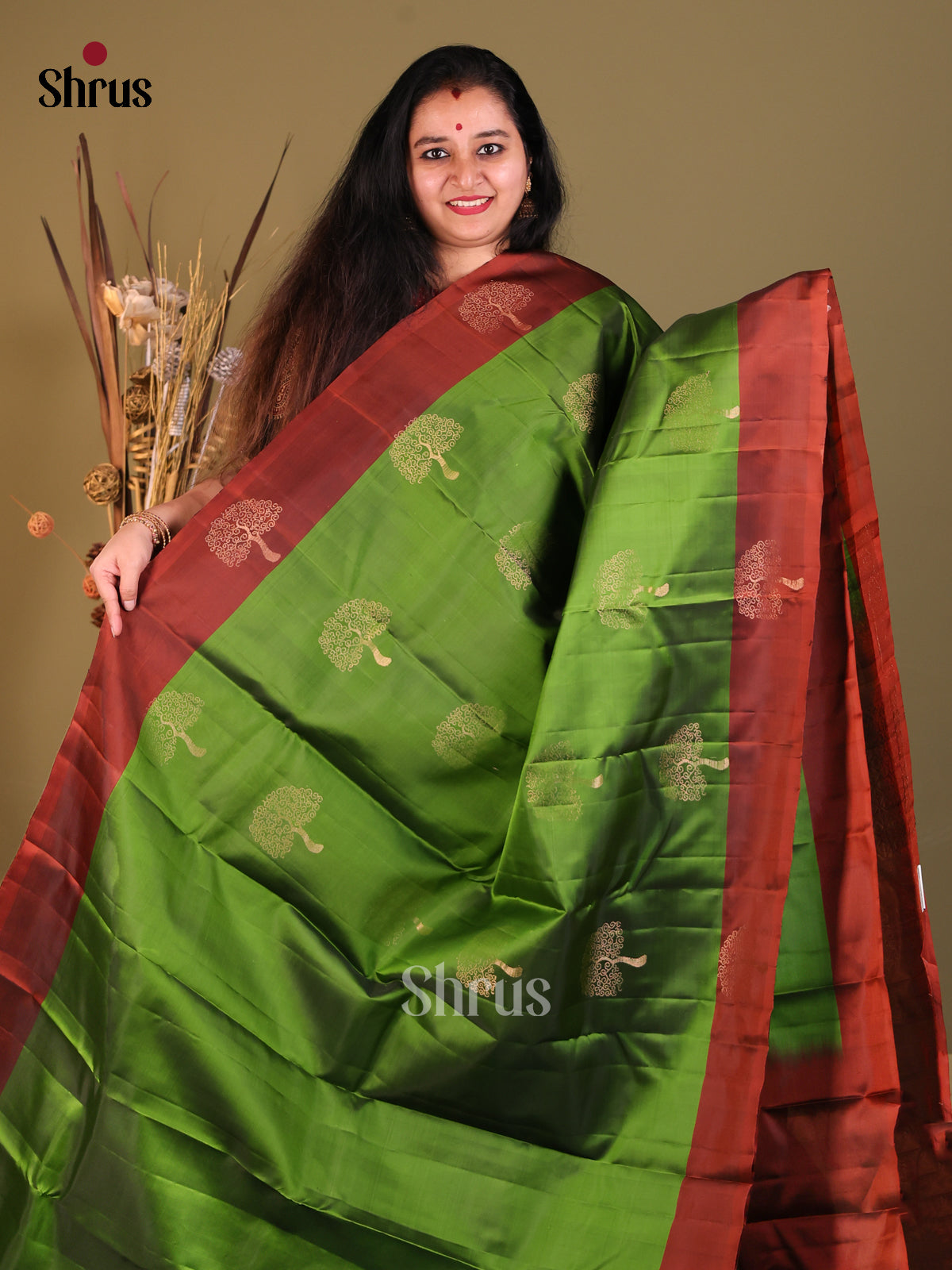 Green & Brown- Softsilk-halfpure Saree - Shop on Shrus.com