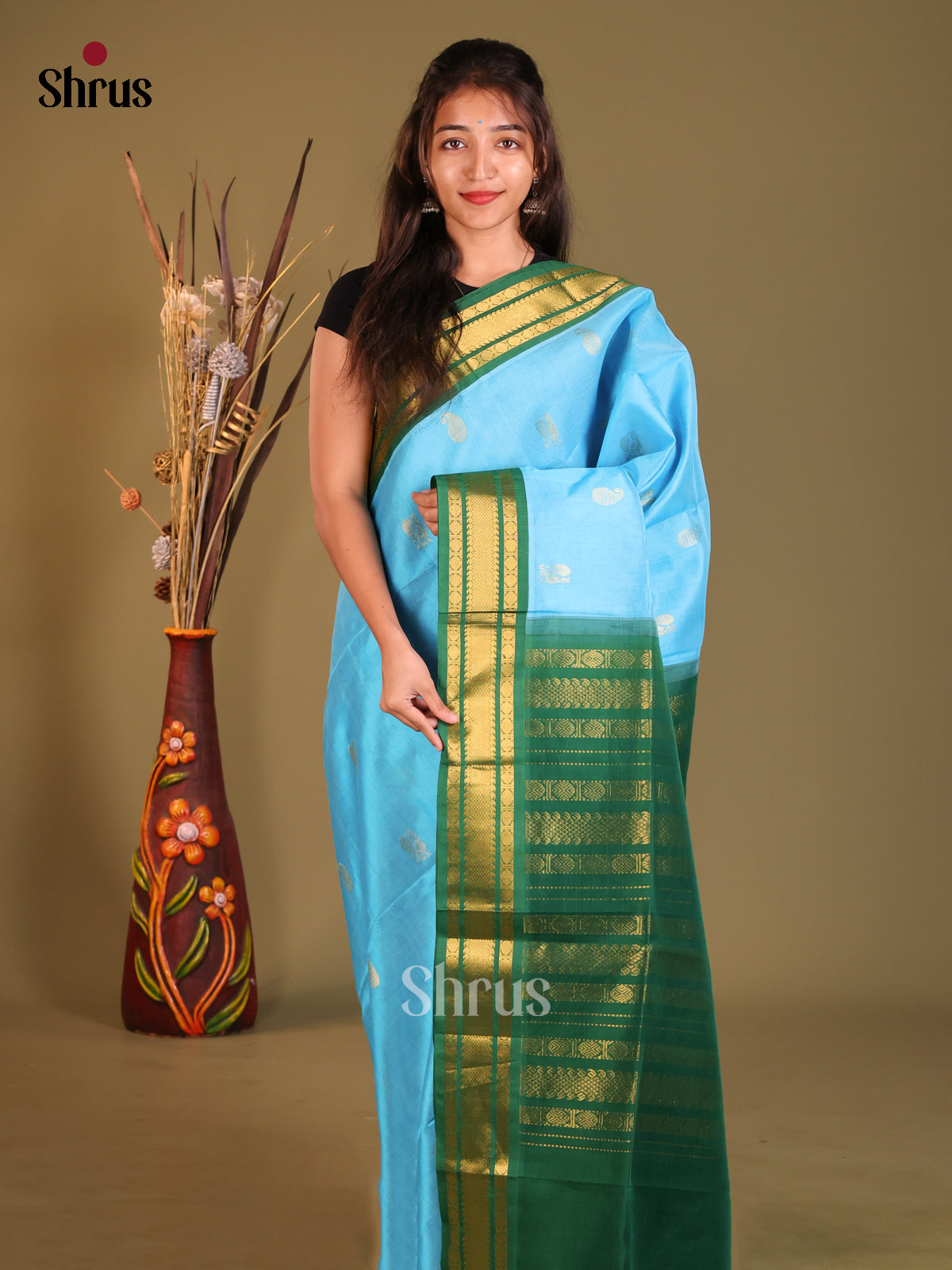 DGS31164 - Korvai-Small border Saree - Shop on Shrus.com