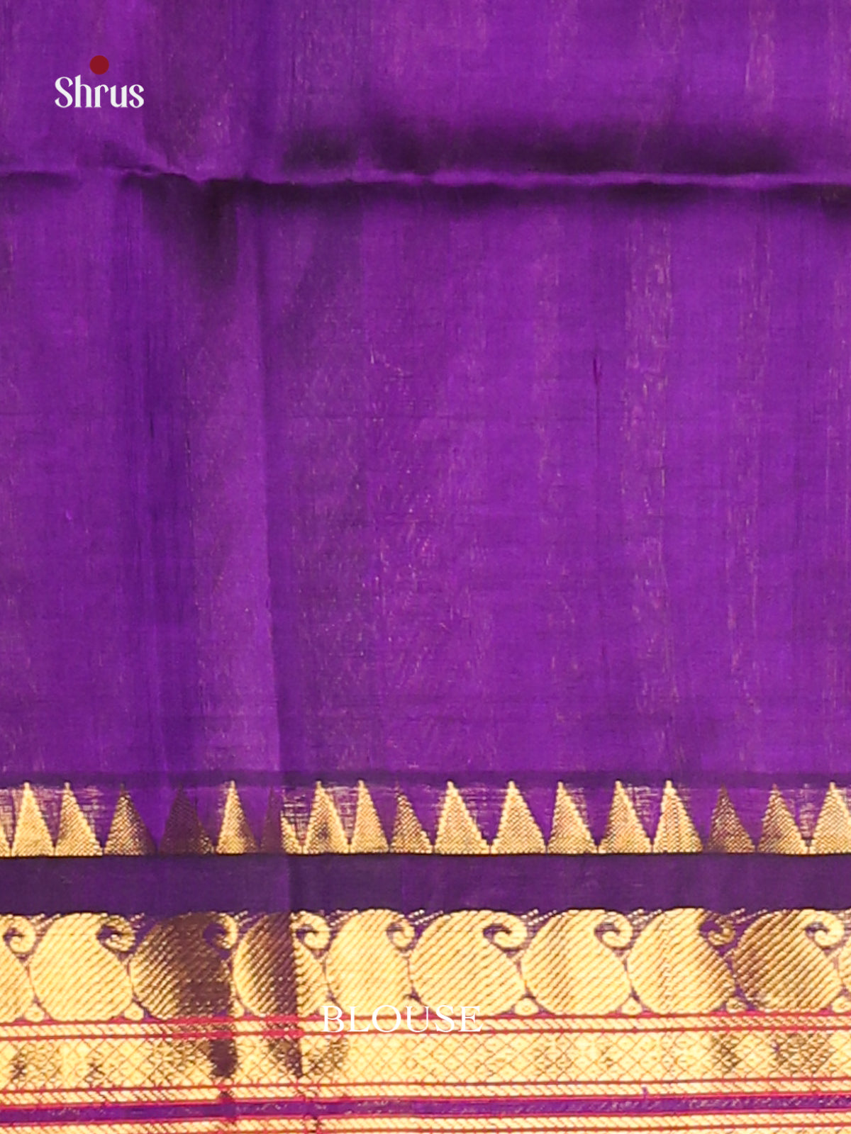 Blue & Violet Silk cotton Korvai-kattams Saree-1