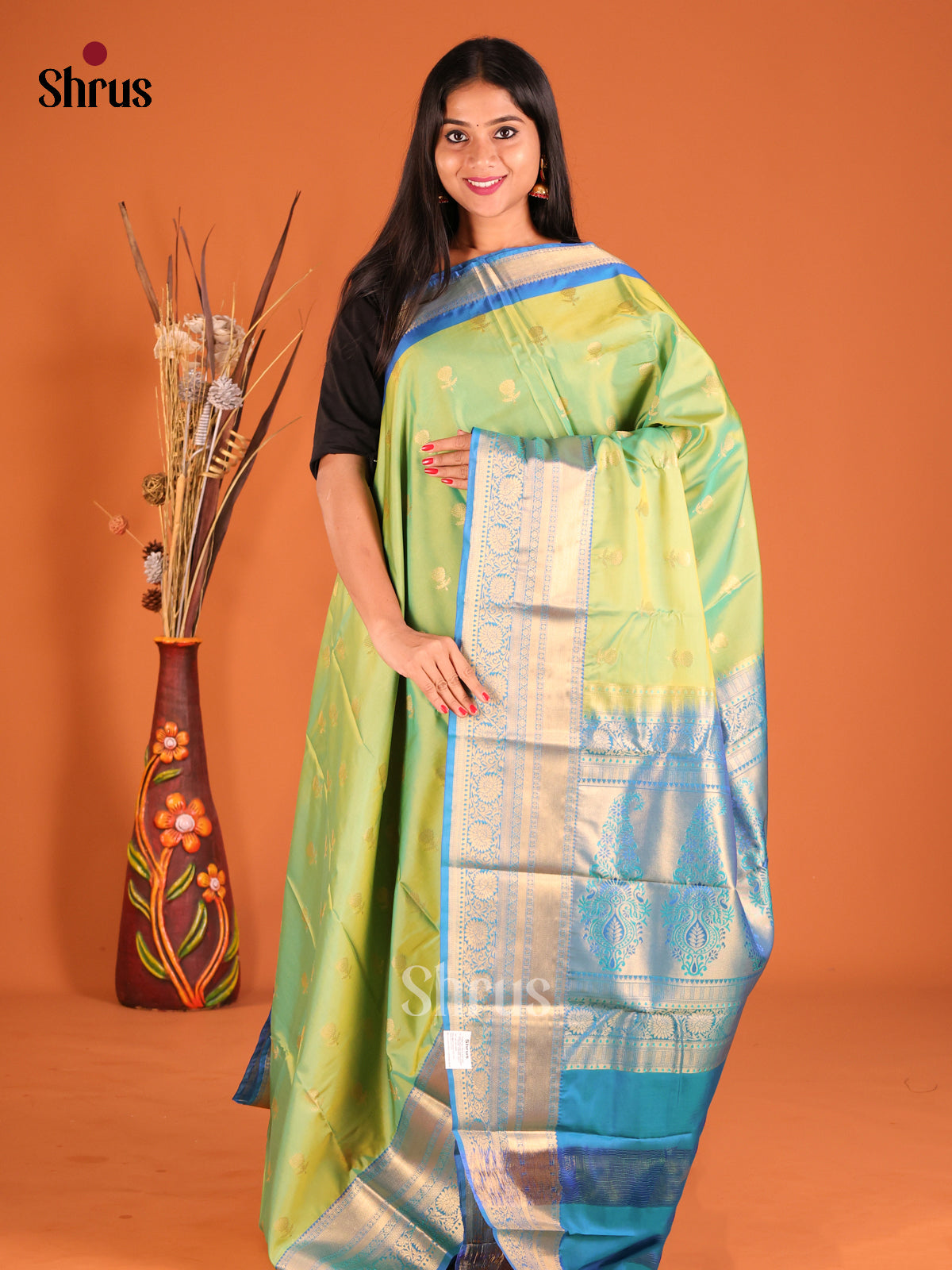 Pista Green & Blue Softsilk-halfpure Saree with contrast zari border - Shop on Shrus.com