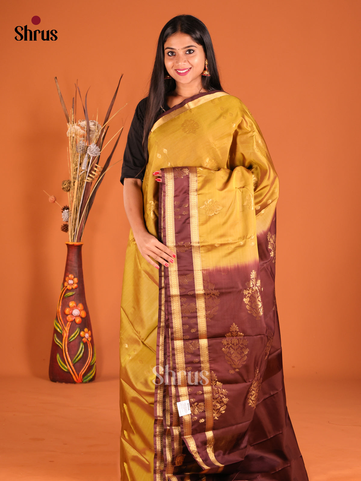 Beige & Brown Softsilk-halfpure Saree with rettaipet zari border - Shop on Shrus.com